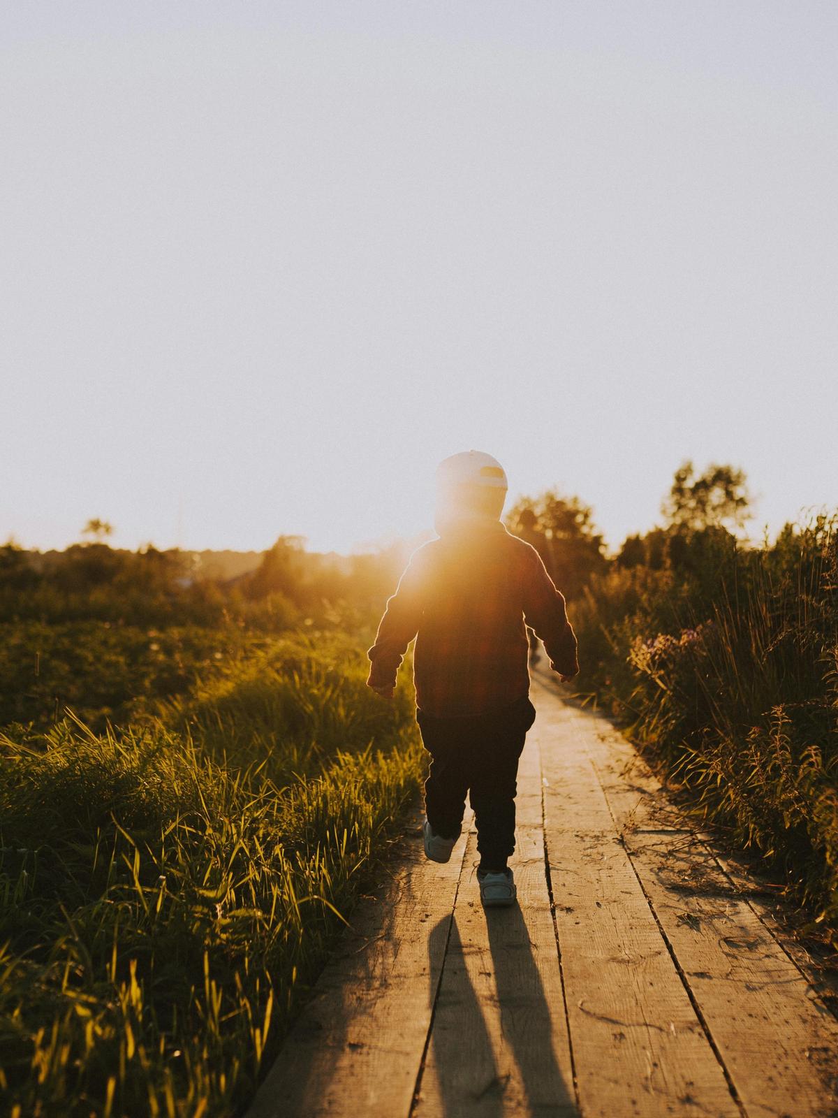 Background for 337 (3 December)