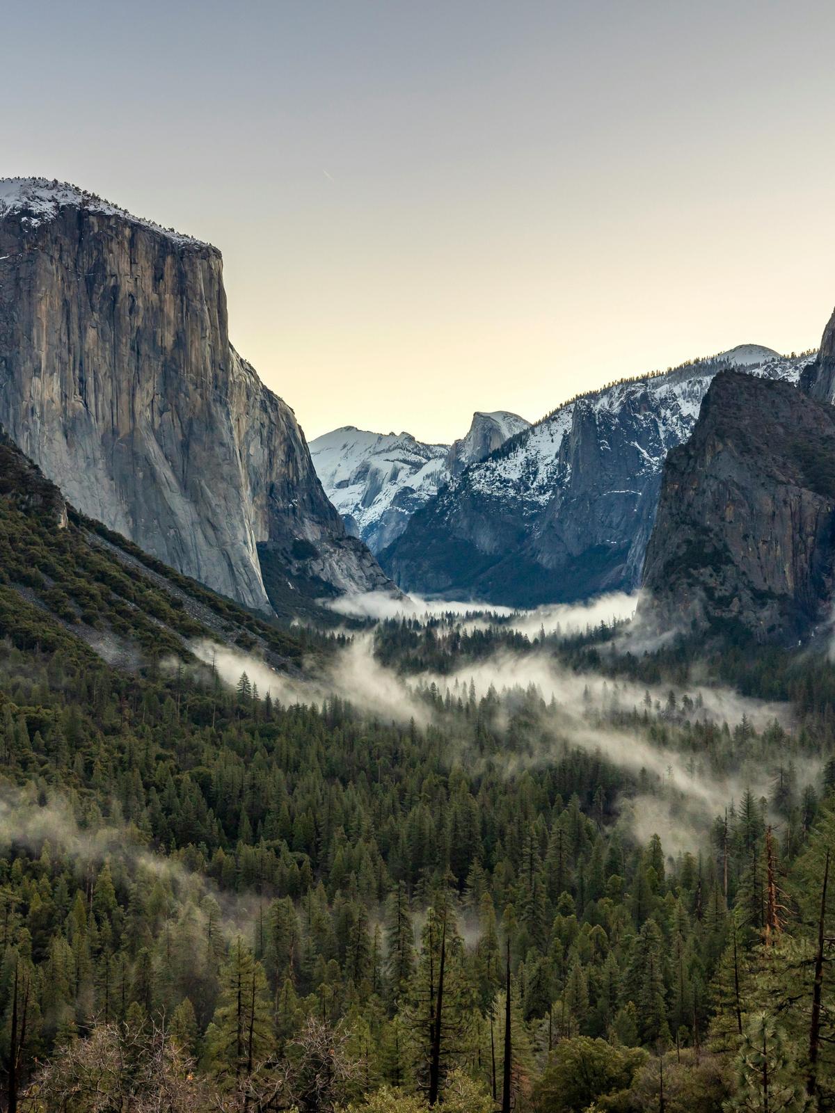 Background for 342 (8 December)