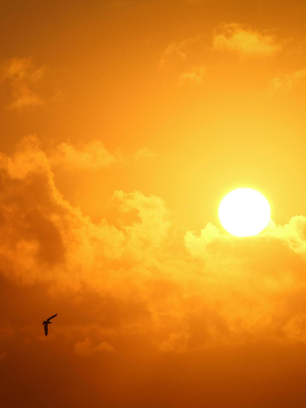 Background for 345 (11 December)