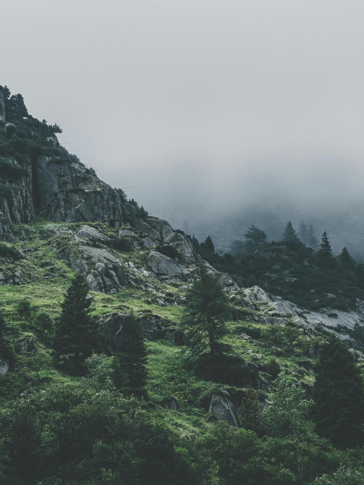 Background for 346 (12 December)