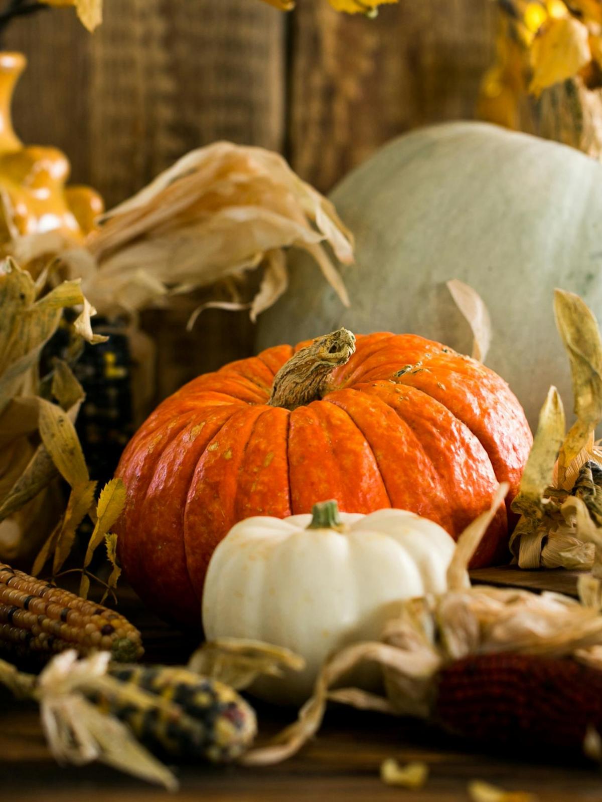 Background for 347 (13 December)