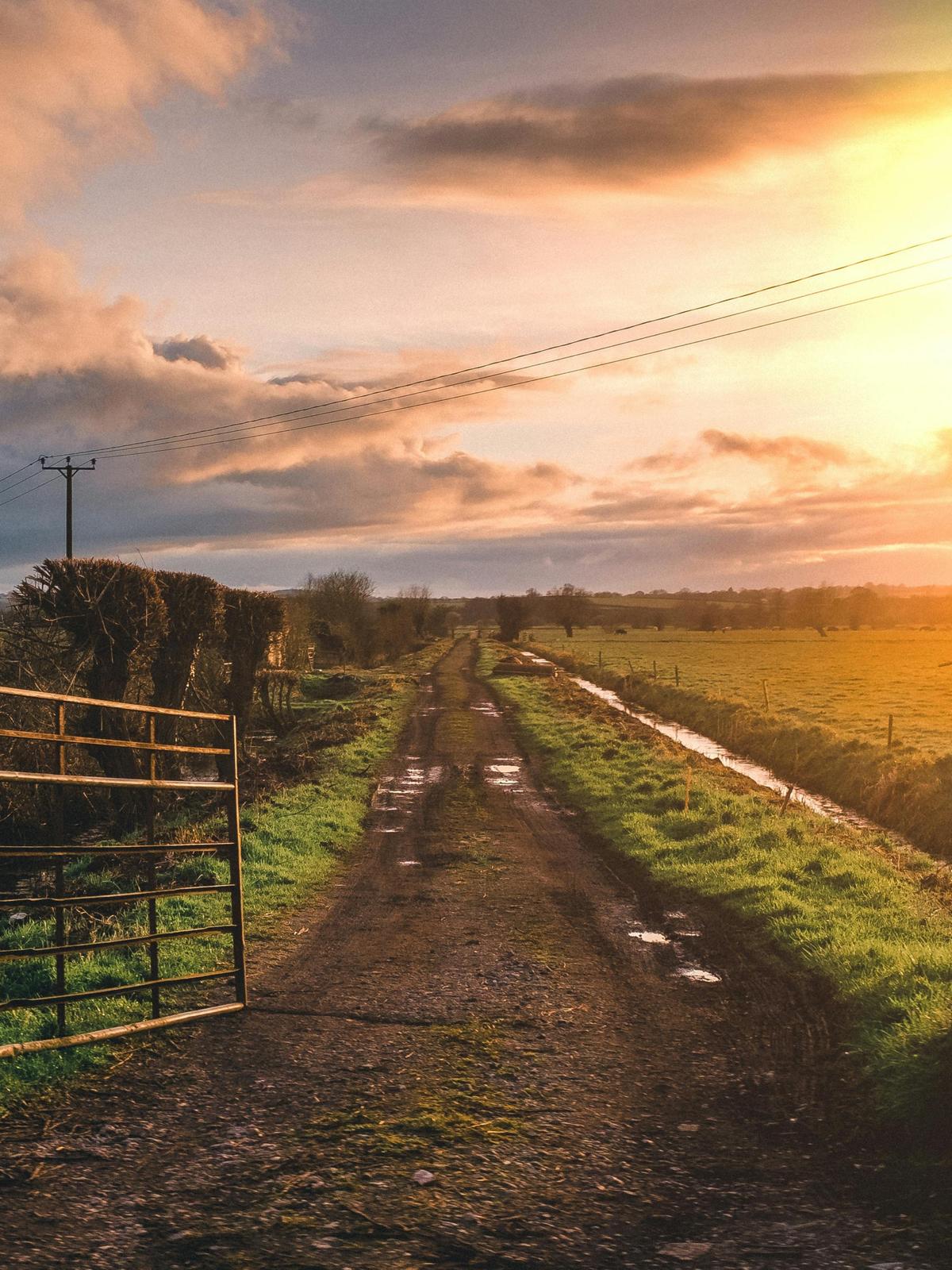 Background for 348 (14 December)