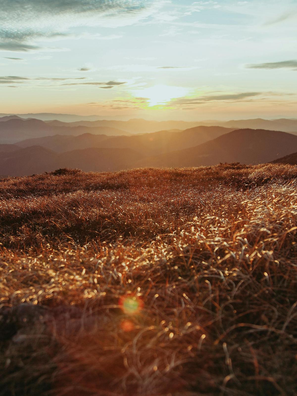 Background for 350 (16 December)