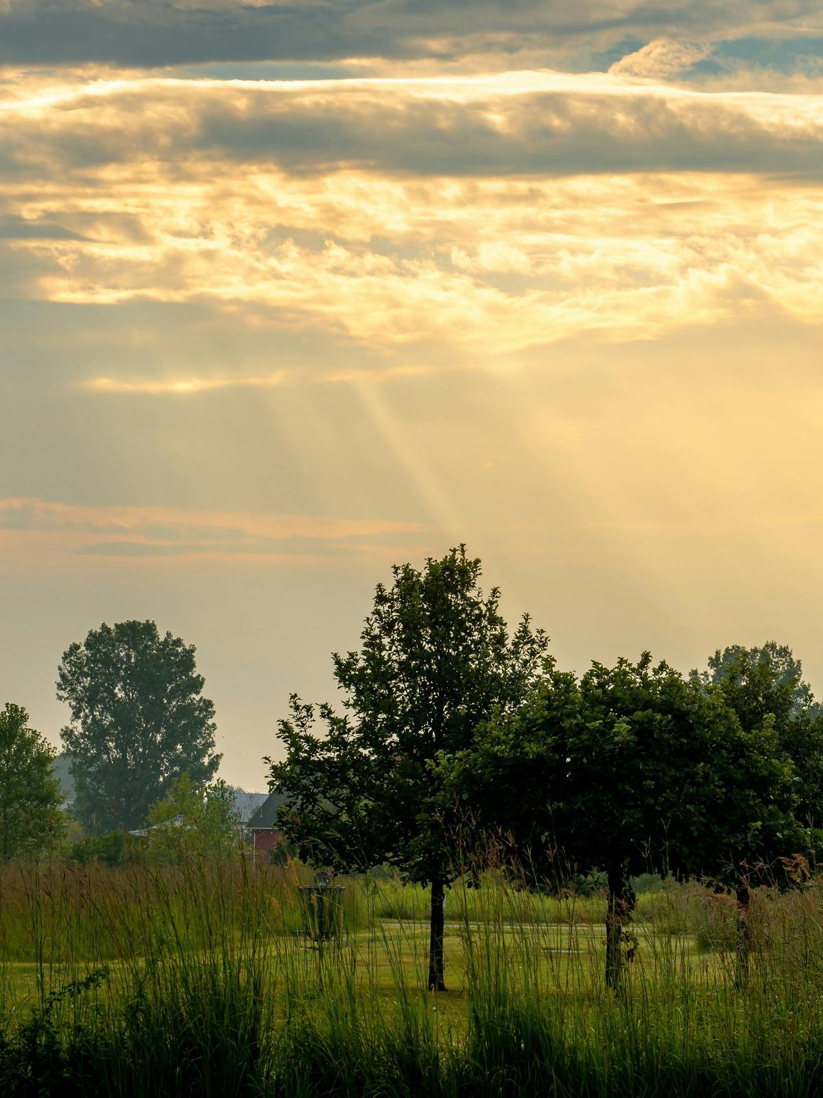 Background for 353 (19 December)