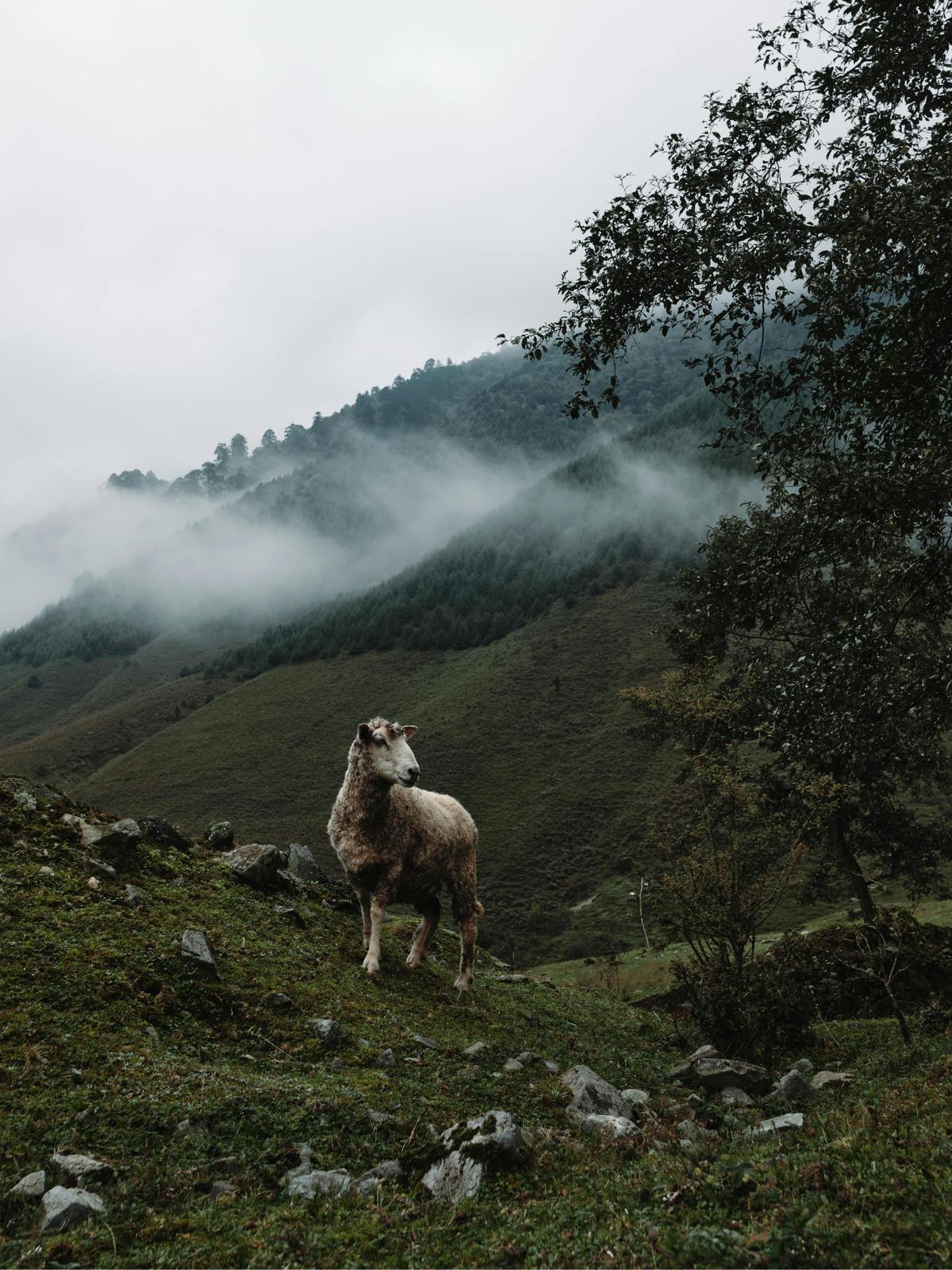 Background for 354 (20 December)