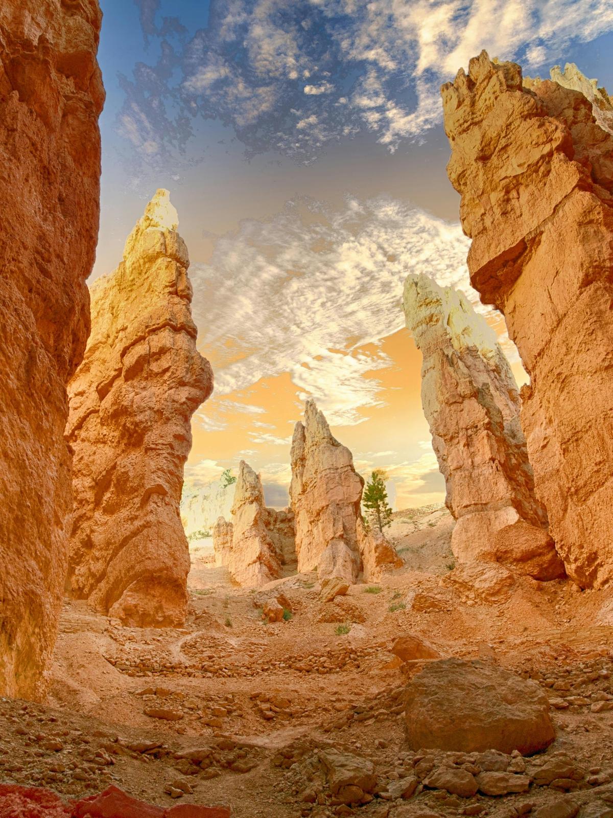 Background for 362 (28 December)