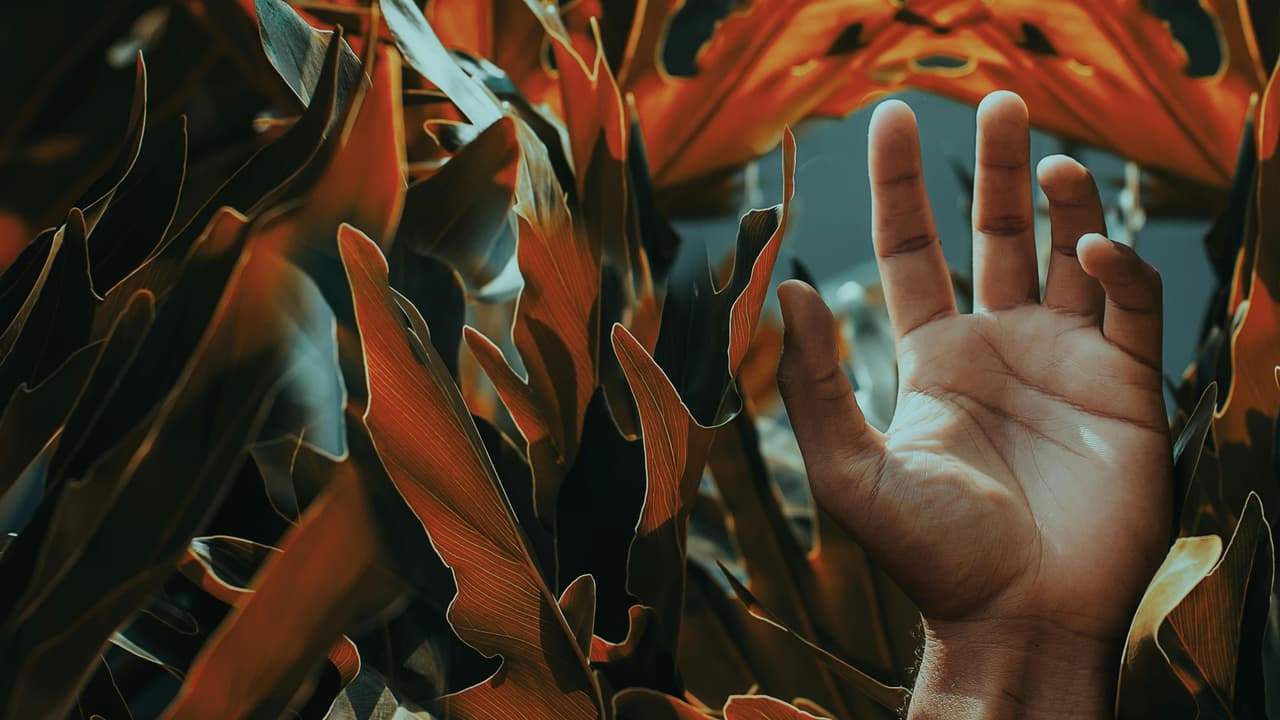 Thumbnail for Victory in Jesus