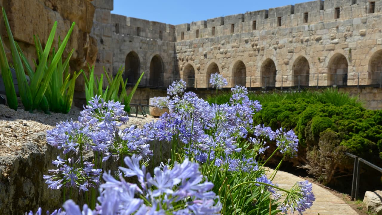 Thumbnail for Israel and the Church - Parallel Restoration