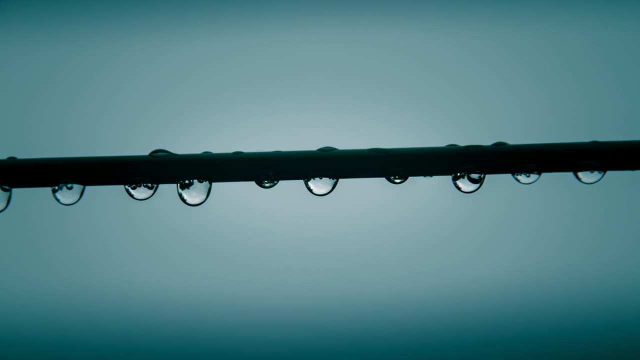 Thumbnail for Immersion In Water