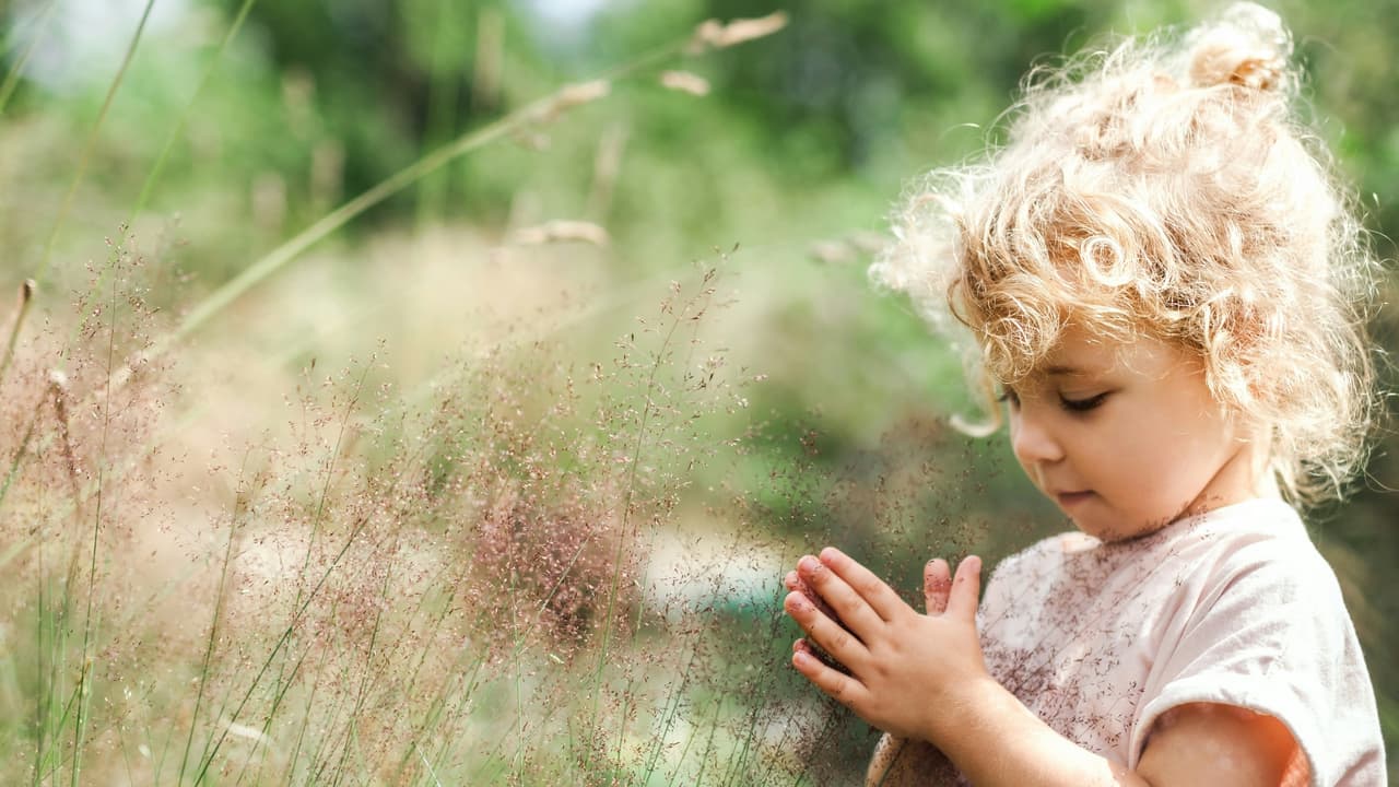 Thumbnail for The Gift of Faith, Part 5 of 10: Gifts of the Spirit