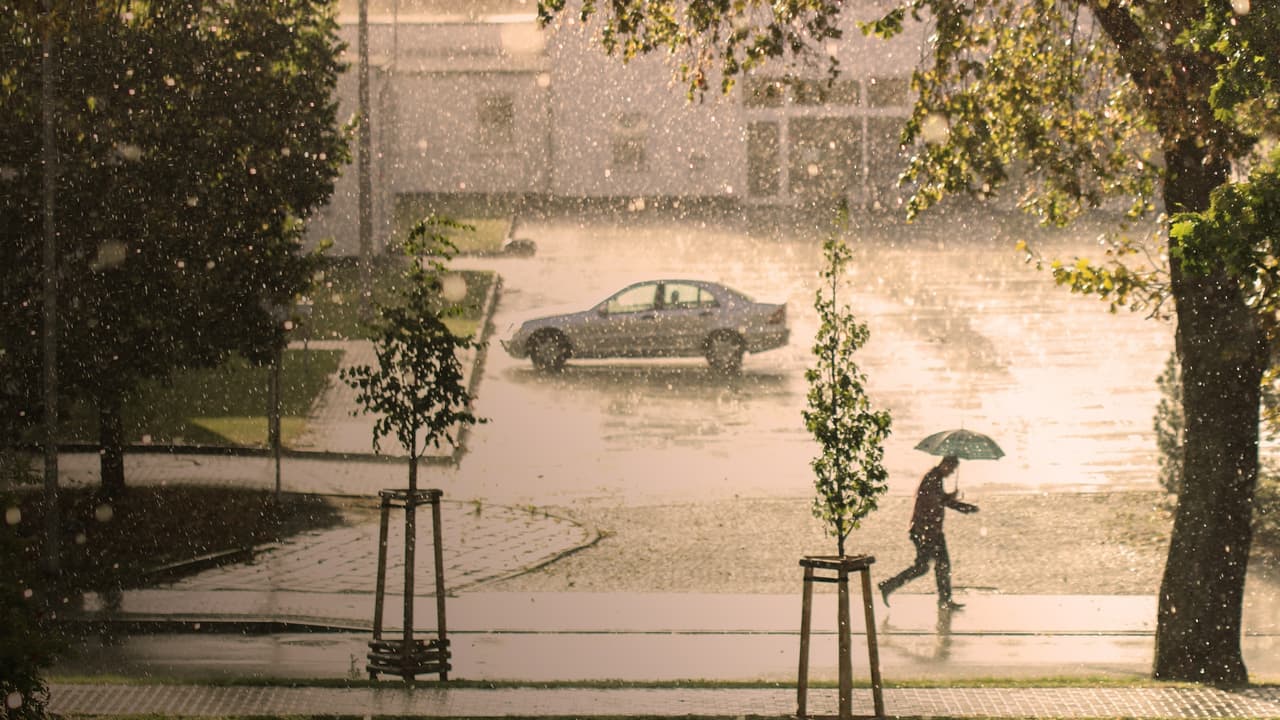 Thumbnail for The Latter Rain, Part 5 of 15: Restoration