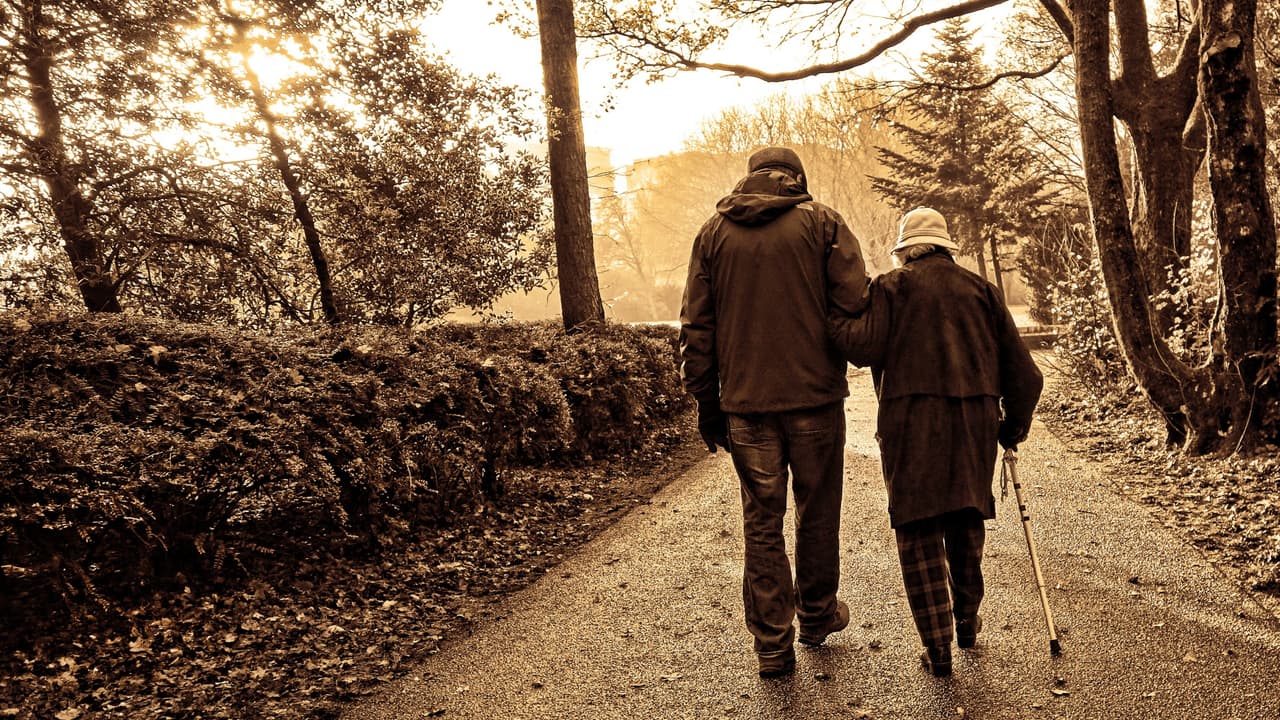 Thumbnail for Wisdom, Part 6 of 15: Walking Through the Land of God’s Promises