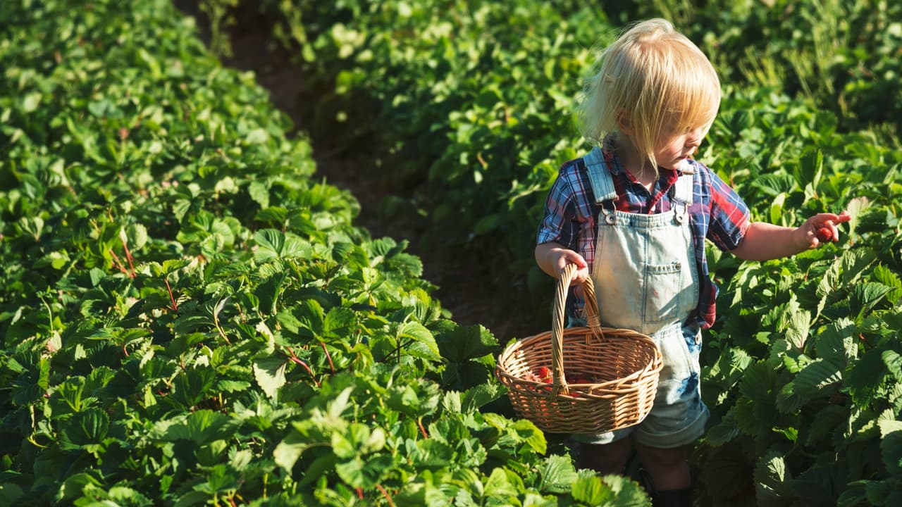 Thumbnail for Prosperity Through Sowing and Reaping, Part 13 of 15: Walking Through the Land of God’s Promises