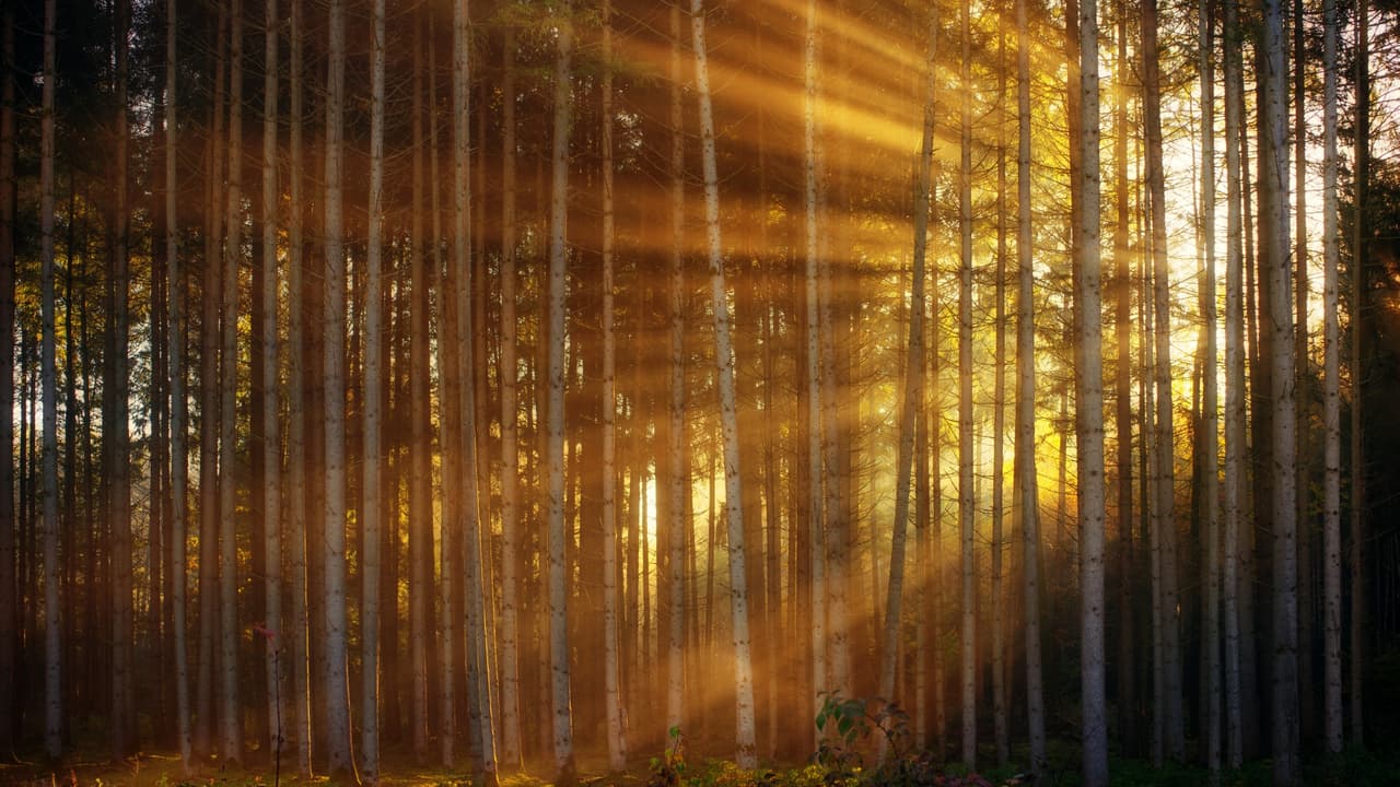 Thumbnail for The Sword of the Spirit, Part 10 of 15: Spiritual Warfare