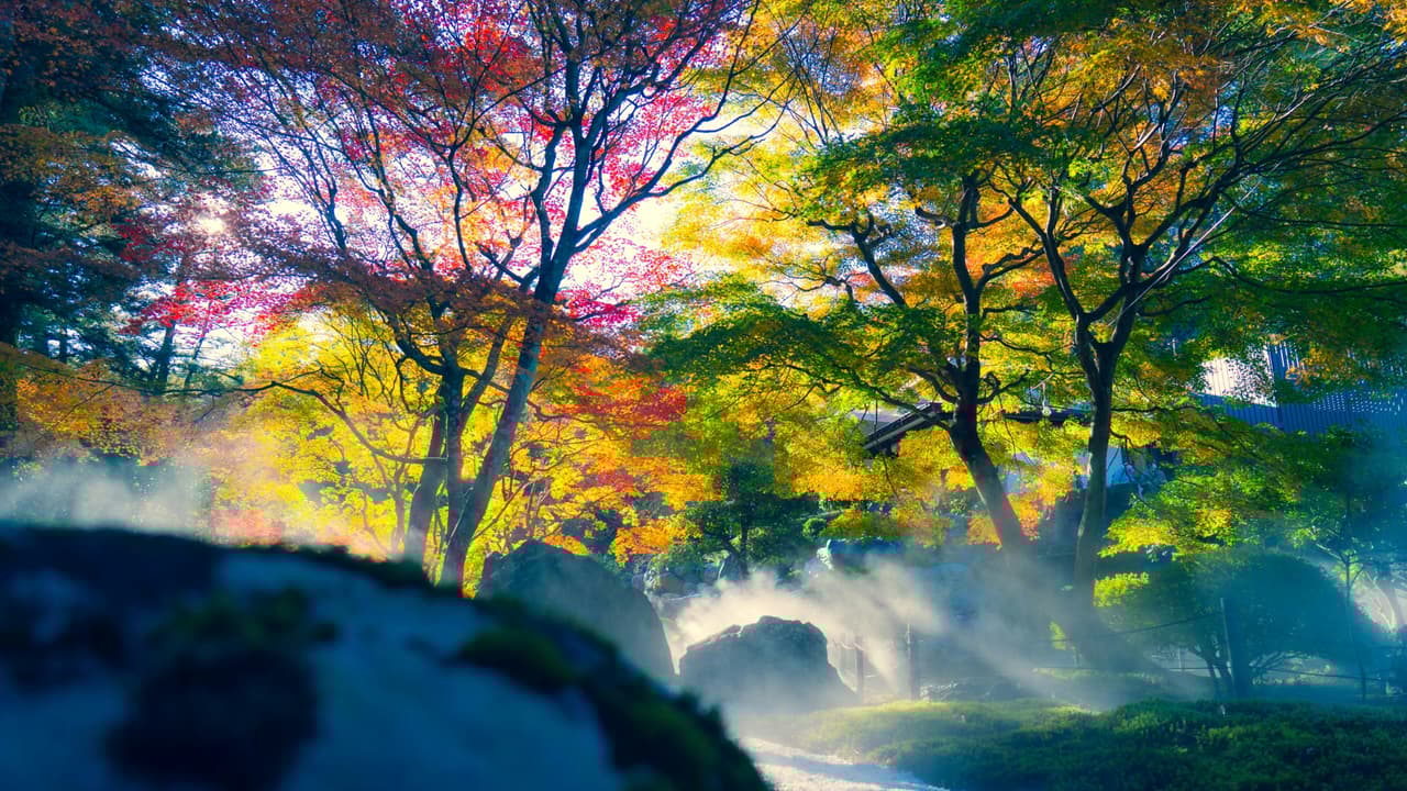 Thumbnail for Unity and Plurality, Part 2 of 10: God Revealed In His Names