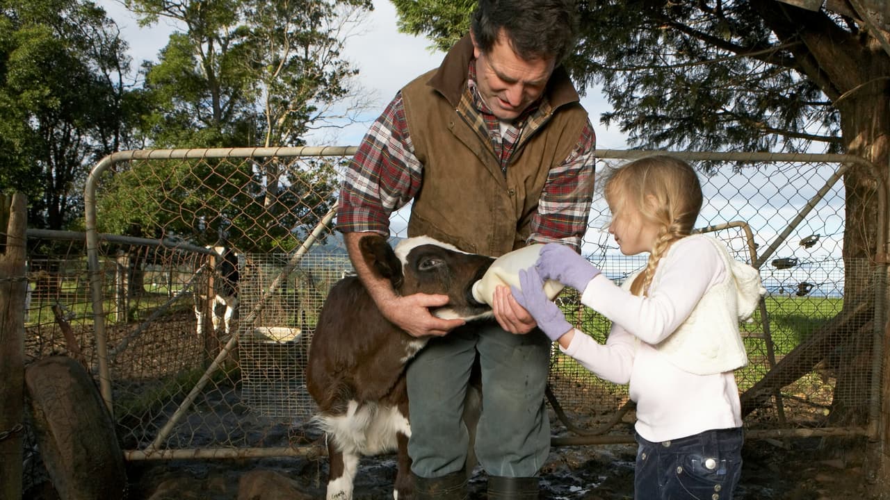 Thumbnail for Let Us Consider One Another, Part 10 of 15: Twelve Steps to a Good Year