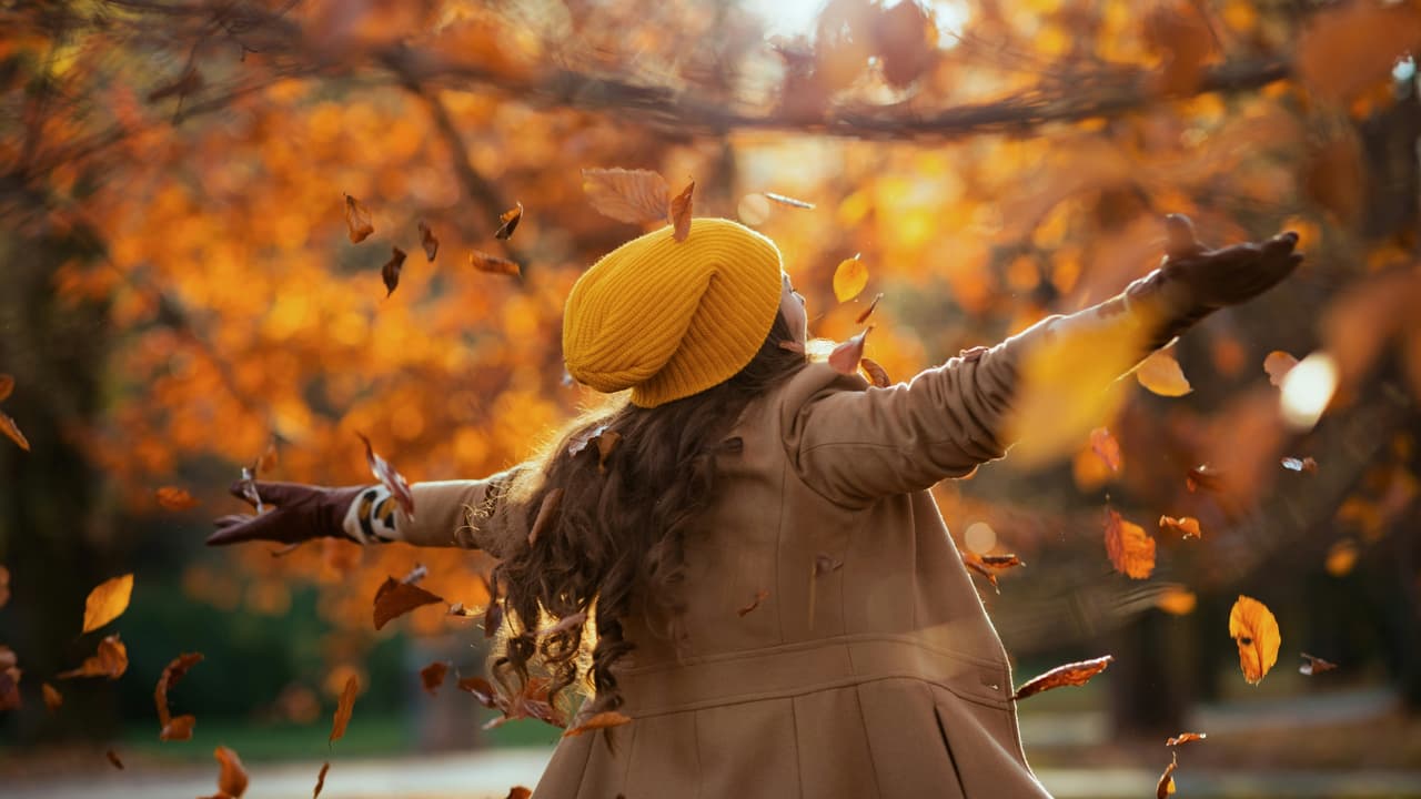 Thumbnail for Let Us Offer Up a Sacrifice of Praise, Part 14 of 15: Twelve Steps to a Good Year
