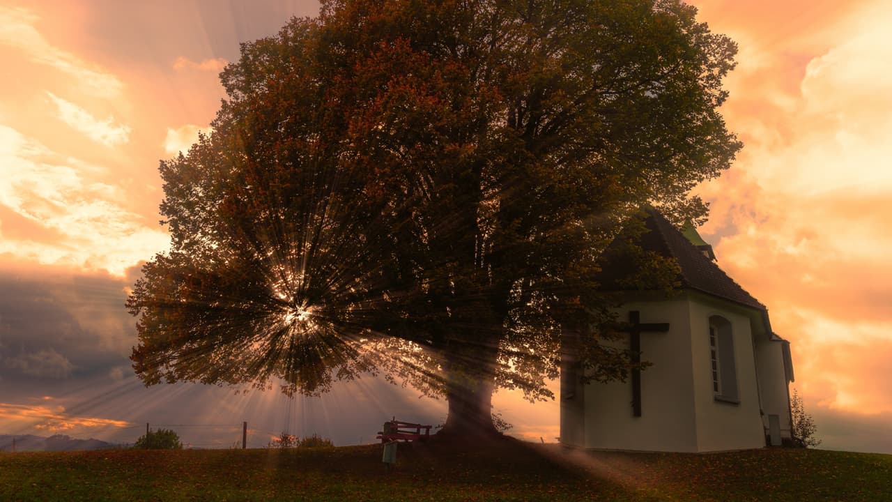 Thumbnail for The Sign of the Church, Part 10 of 20: Facing the Future