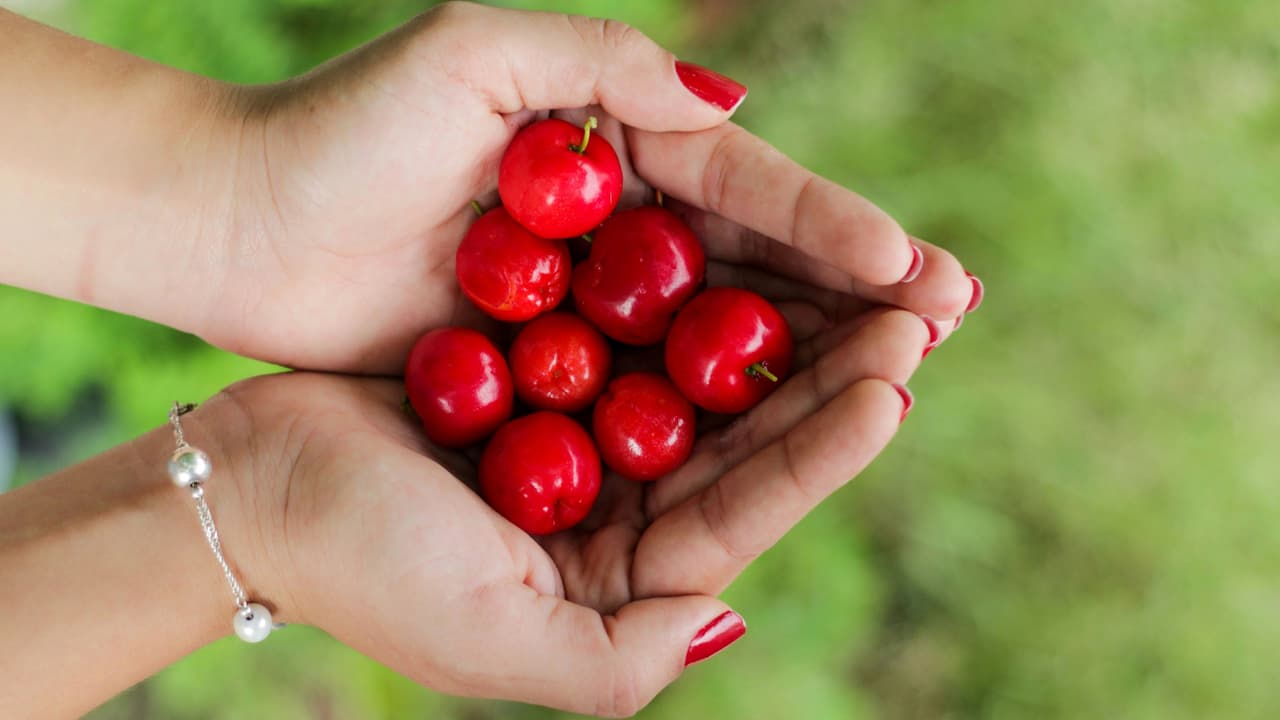 Thumbnail for Abundance Defined, Part 2 of 20: God’s Abundance
