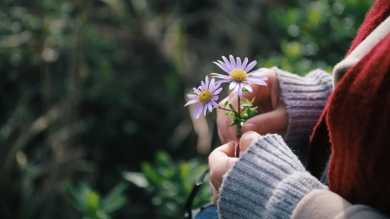 Thumbnail for Giving Honors God and Man, Part 14 of 20: God’s Abundance
