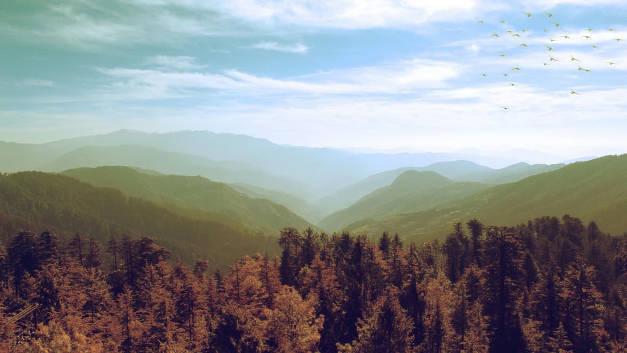 Thumbnail for God’s Level is Abundance, Part 10 of 10: God’s Plan for Your Money