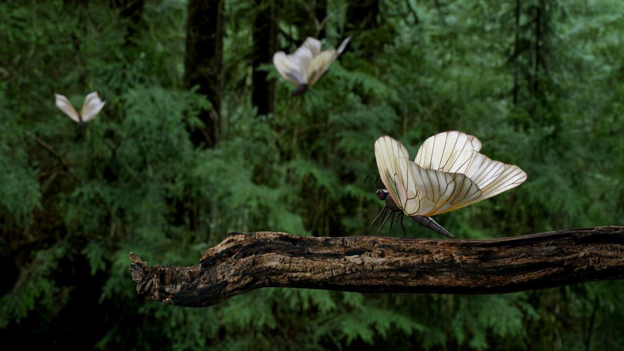 Thumbnail for Redemption of Creation, Part 5 of 10: Longing for His Appearing