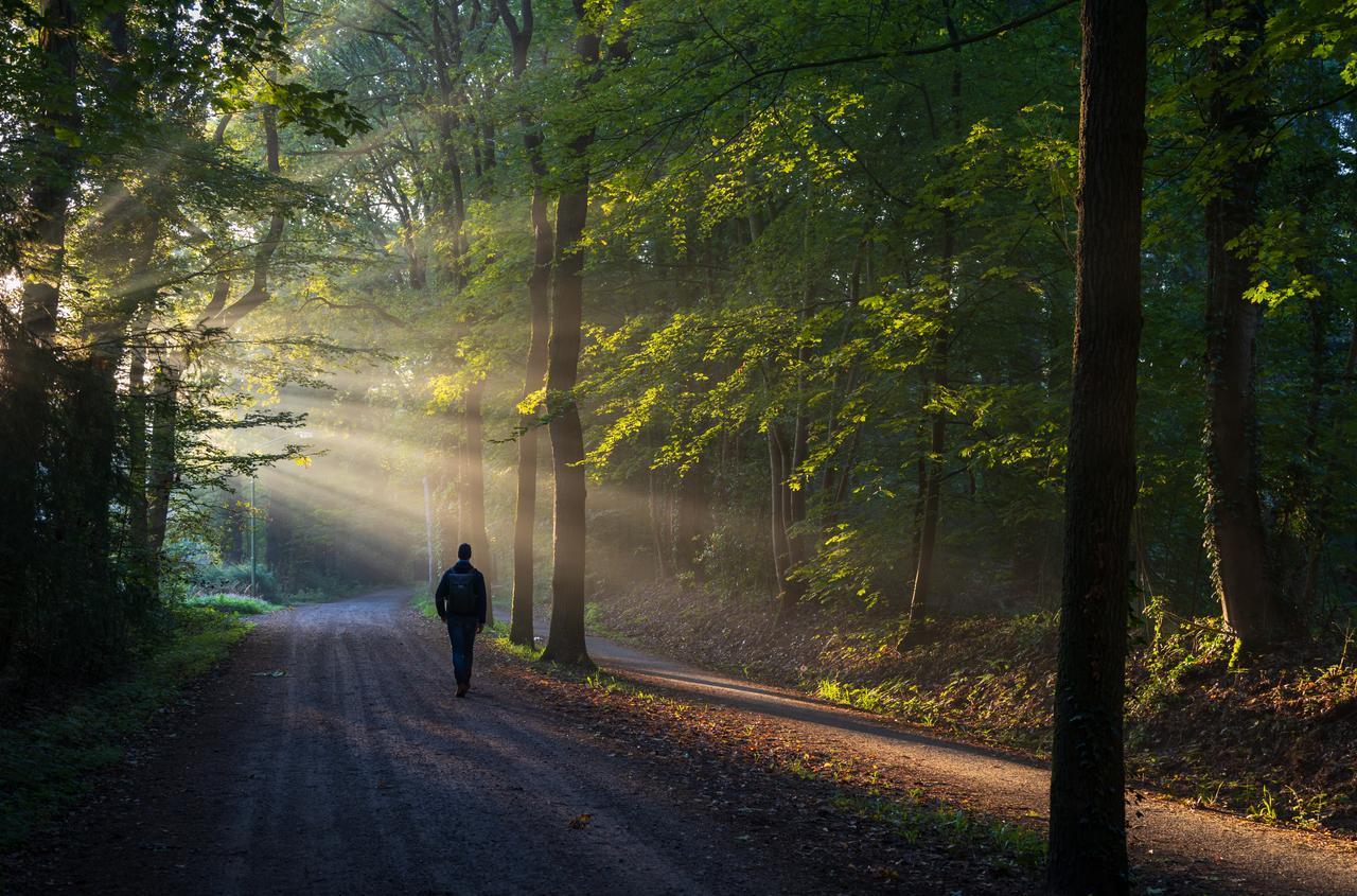 Thumbnail for The Path to Knowing God