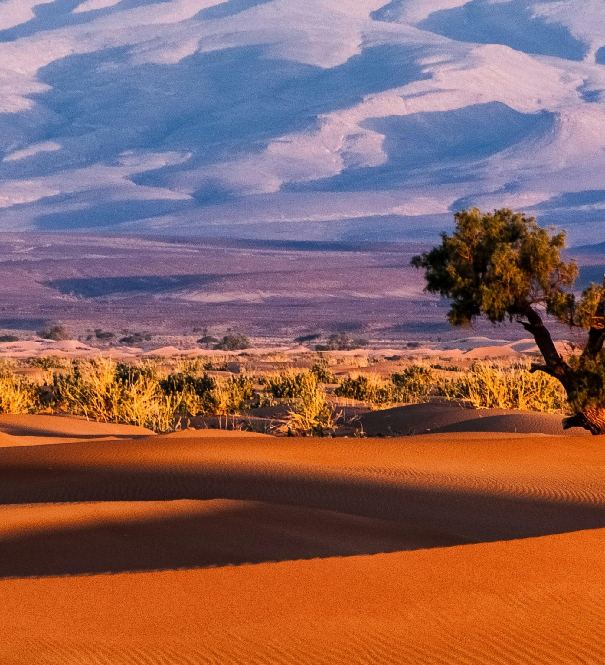 Background for Analysis of Hebrews: Chapter 8