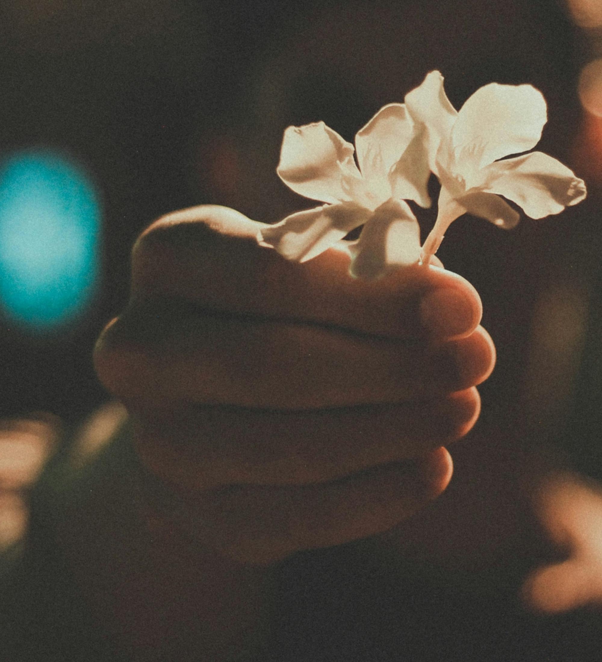 Background for God Demands Holiness in His People