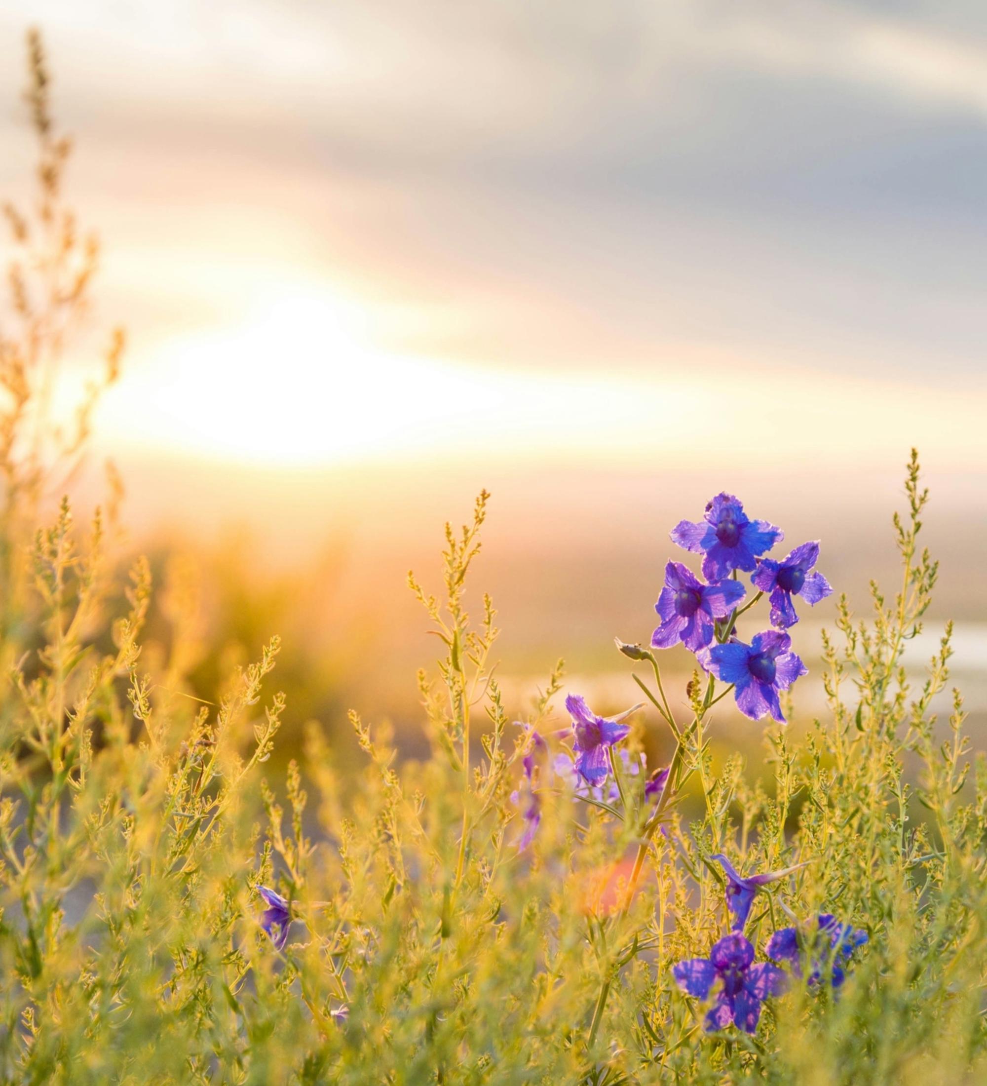 Background for Intercession