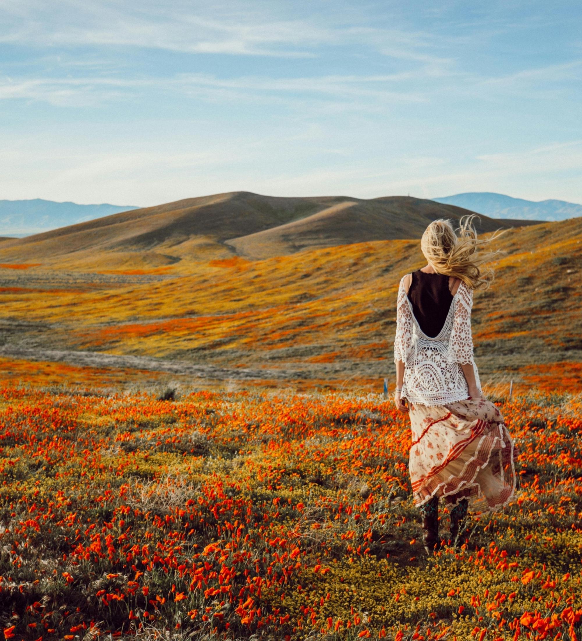 Background for The Grace Of Yielding