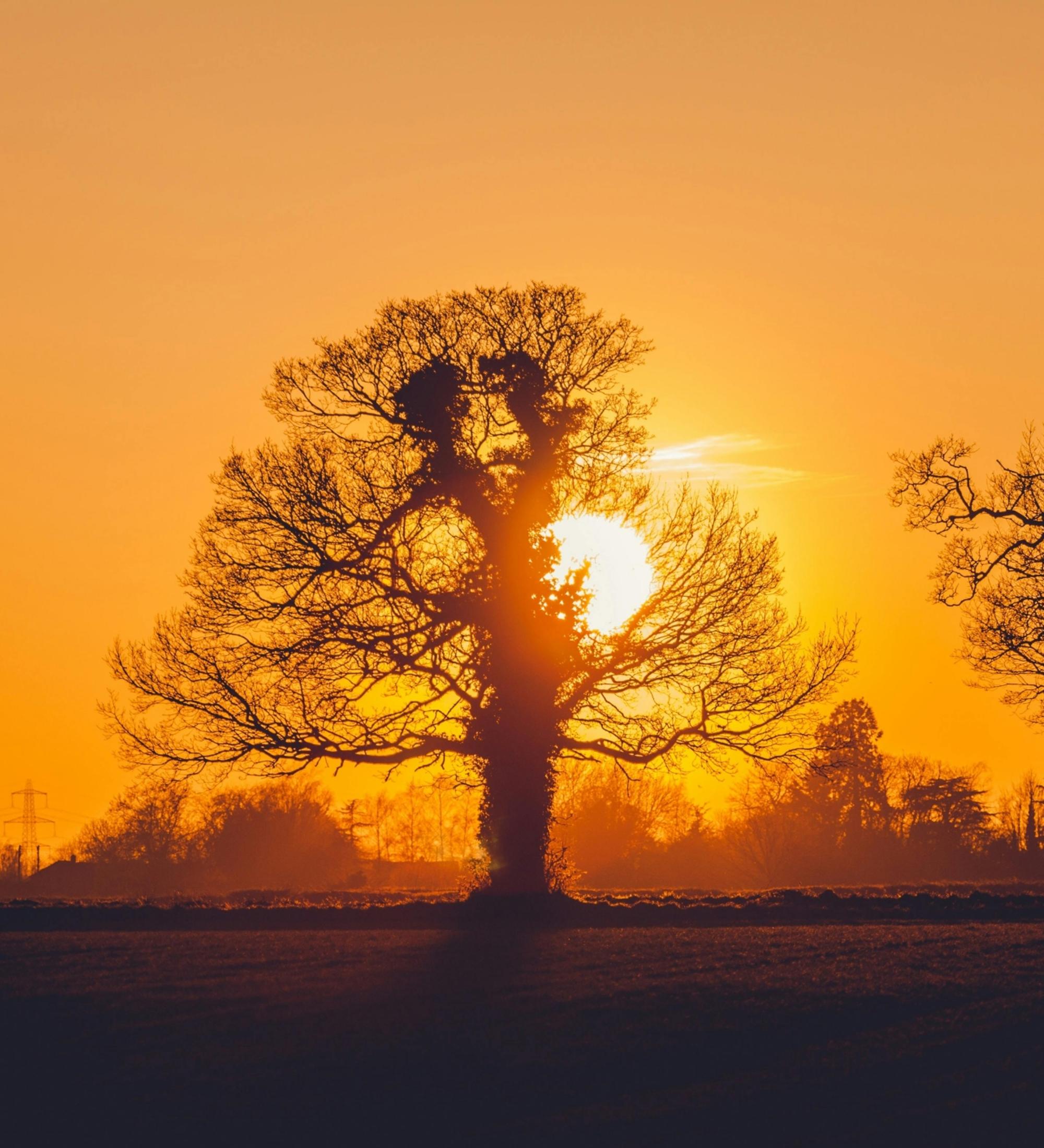 Background for Times And Seasons