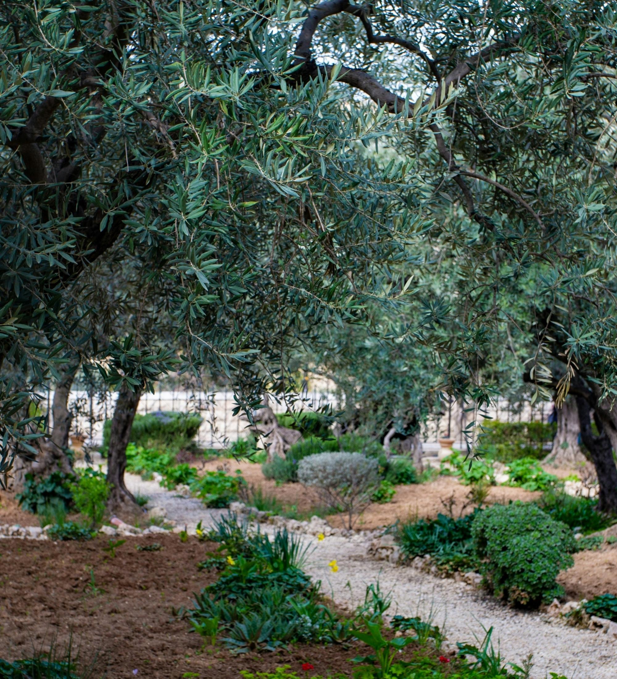 Background for Who Are The Israel Of God?
