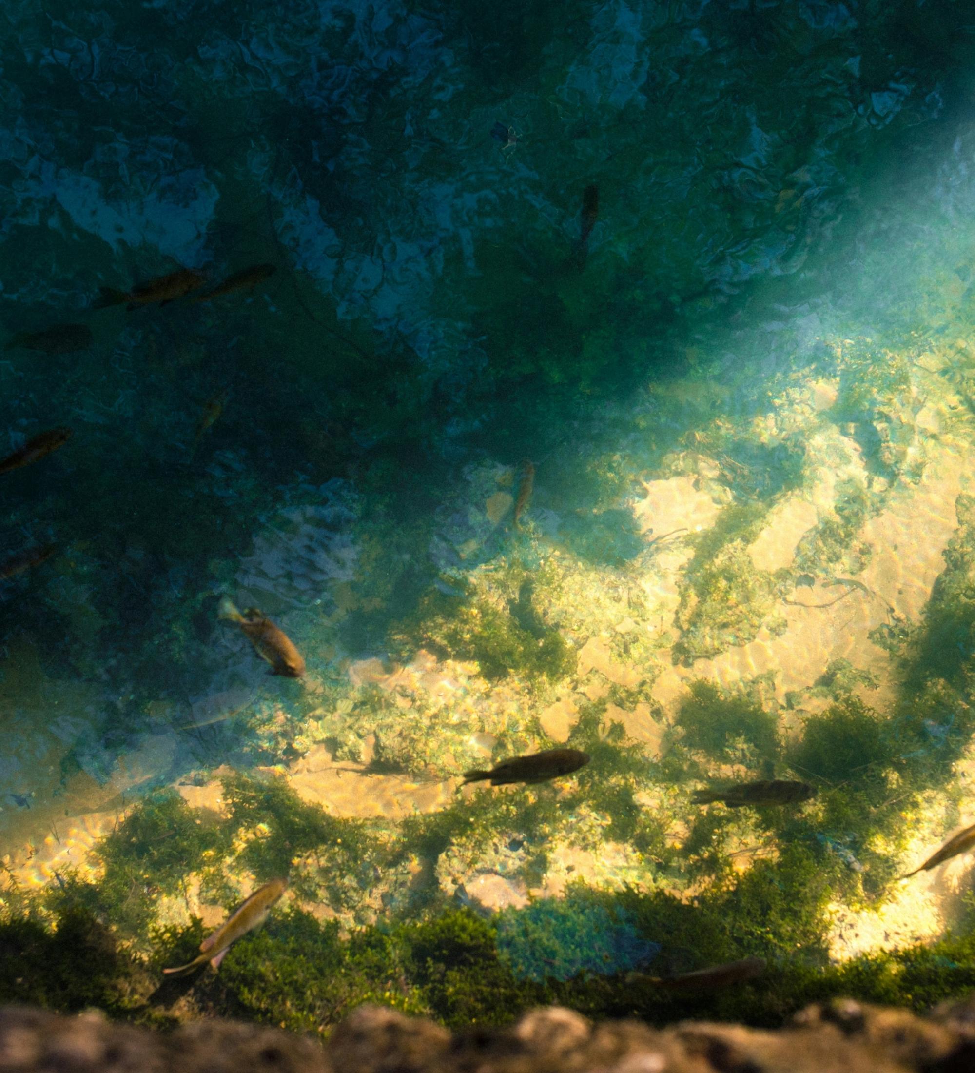 Background for Deliverance From the World - Part 2