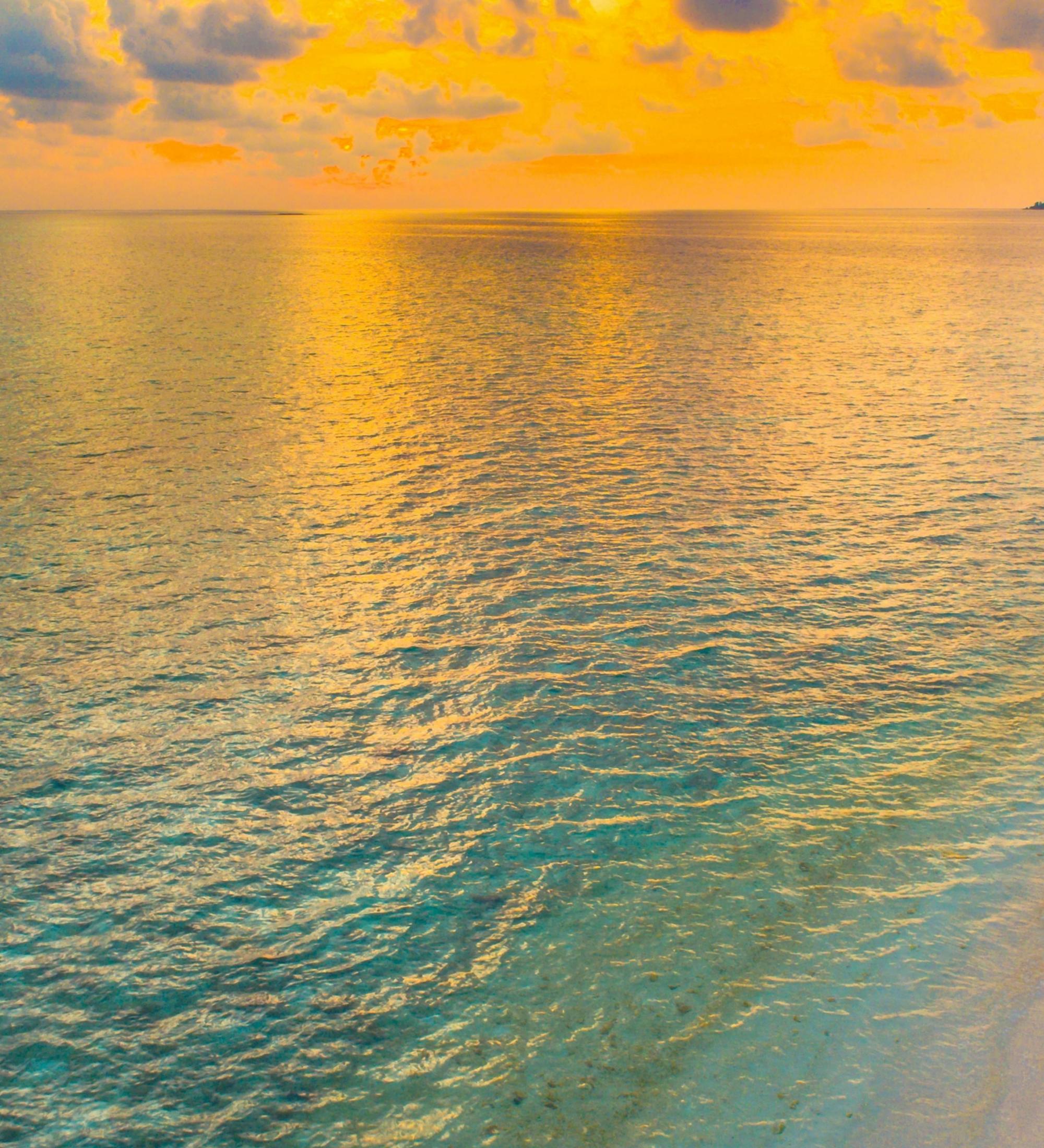 Background for The Covenant Of Marriage