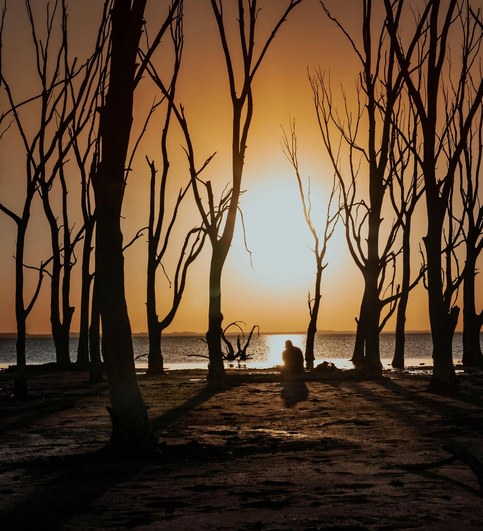 Background for Witchcraft Unveiled