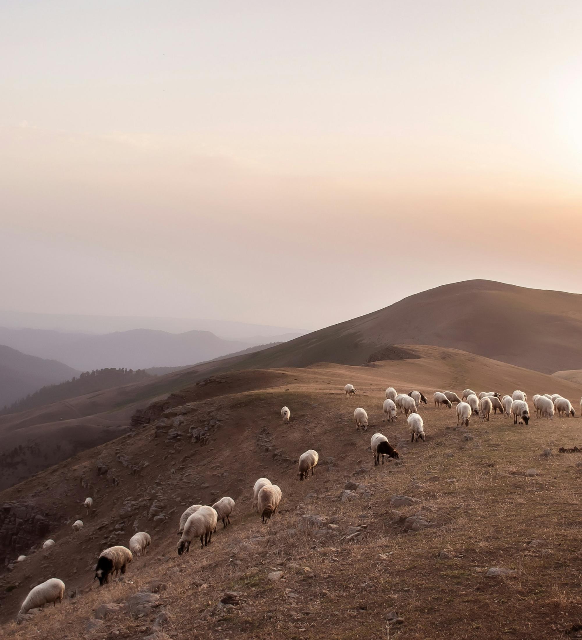 Background for Intercession, Fasting