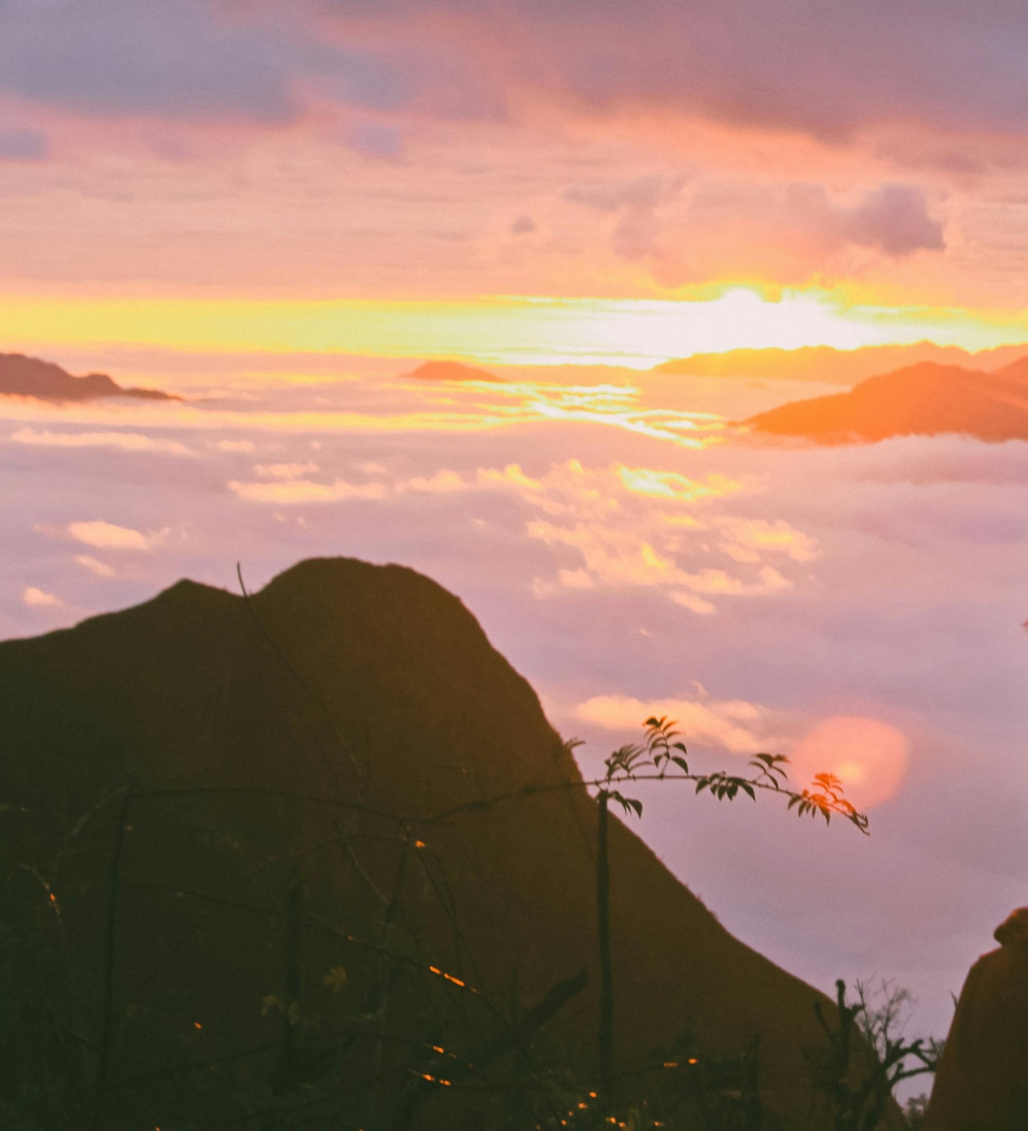 Background for Holiness Outworked