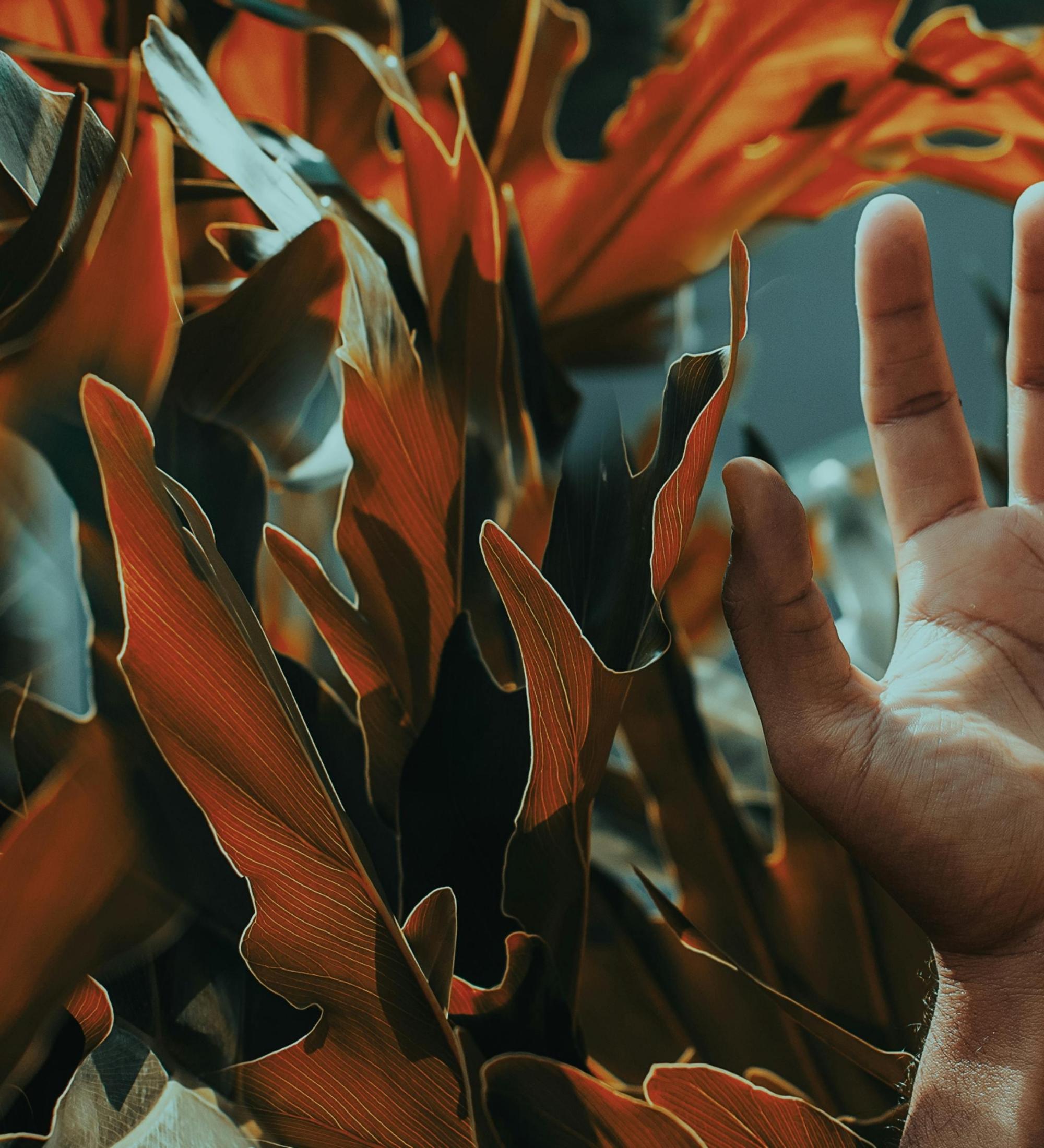 Background for Victory in Jesus