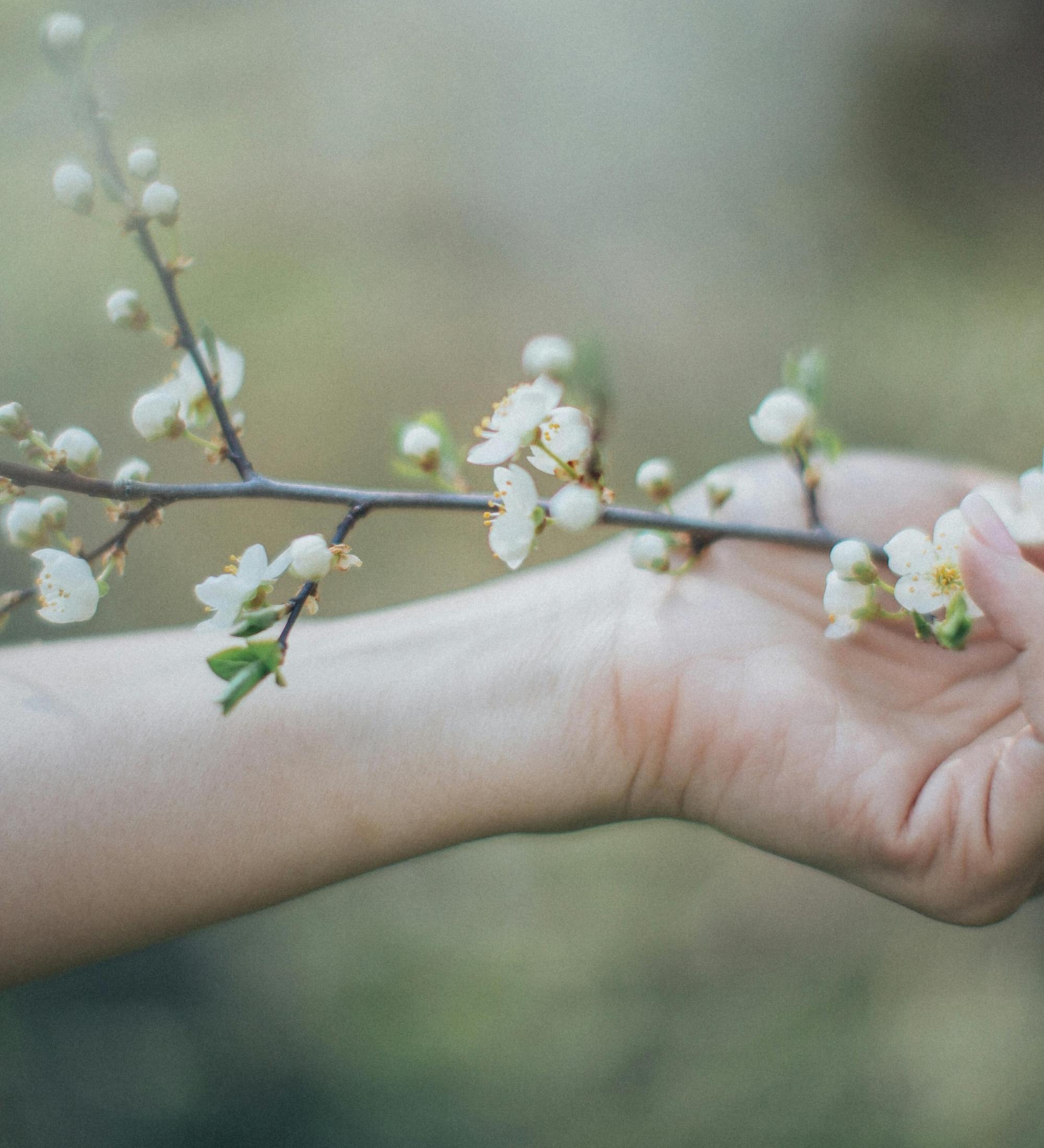 Background for Fasting Brings Restoration