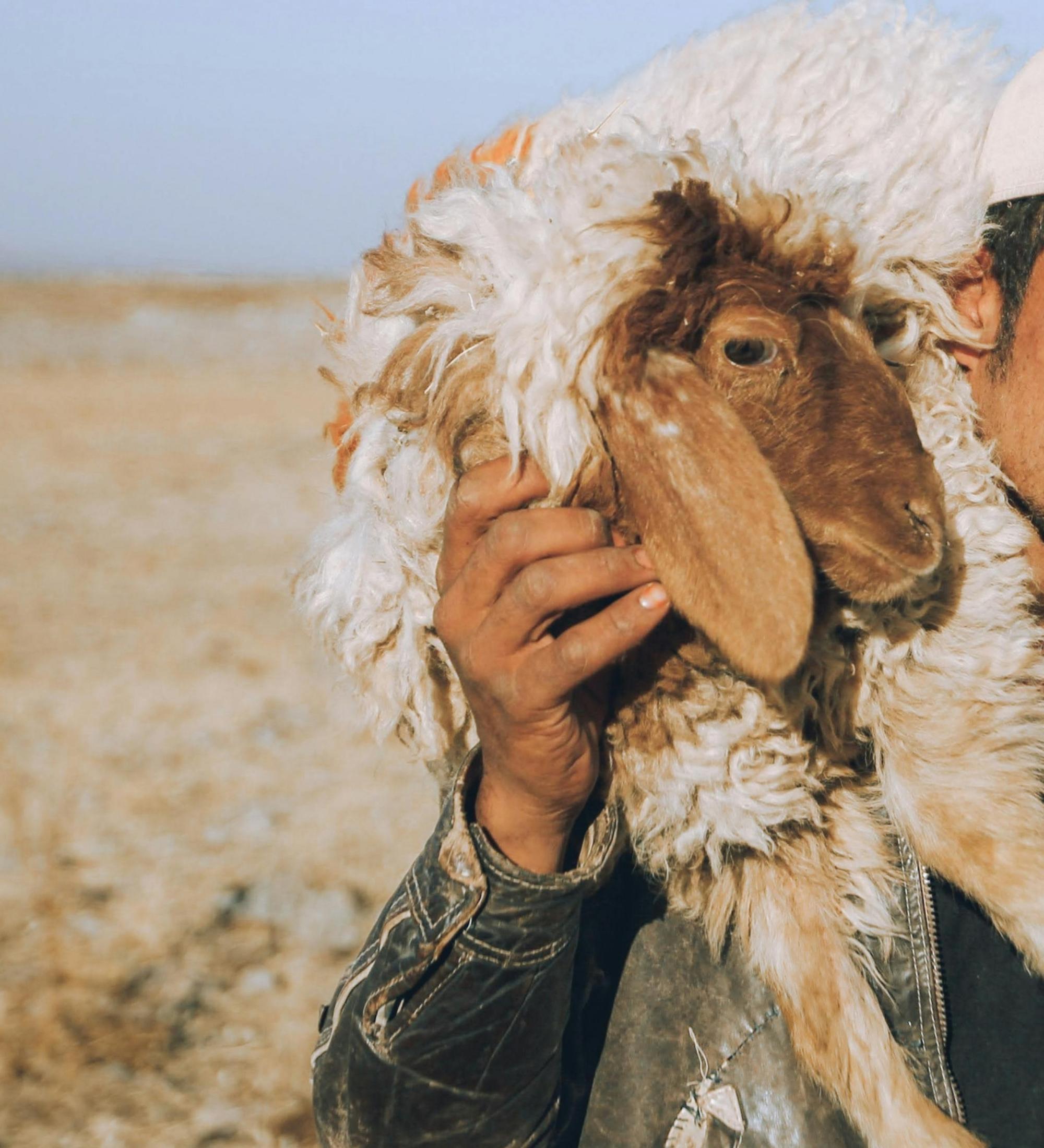Background for Resident Ministries - Shepherds and Deacons