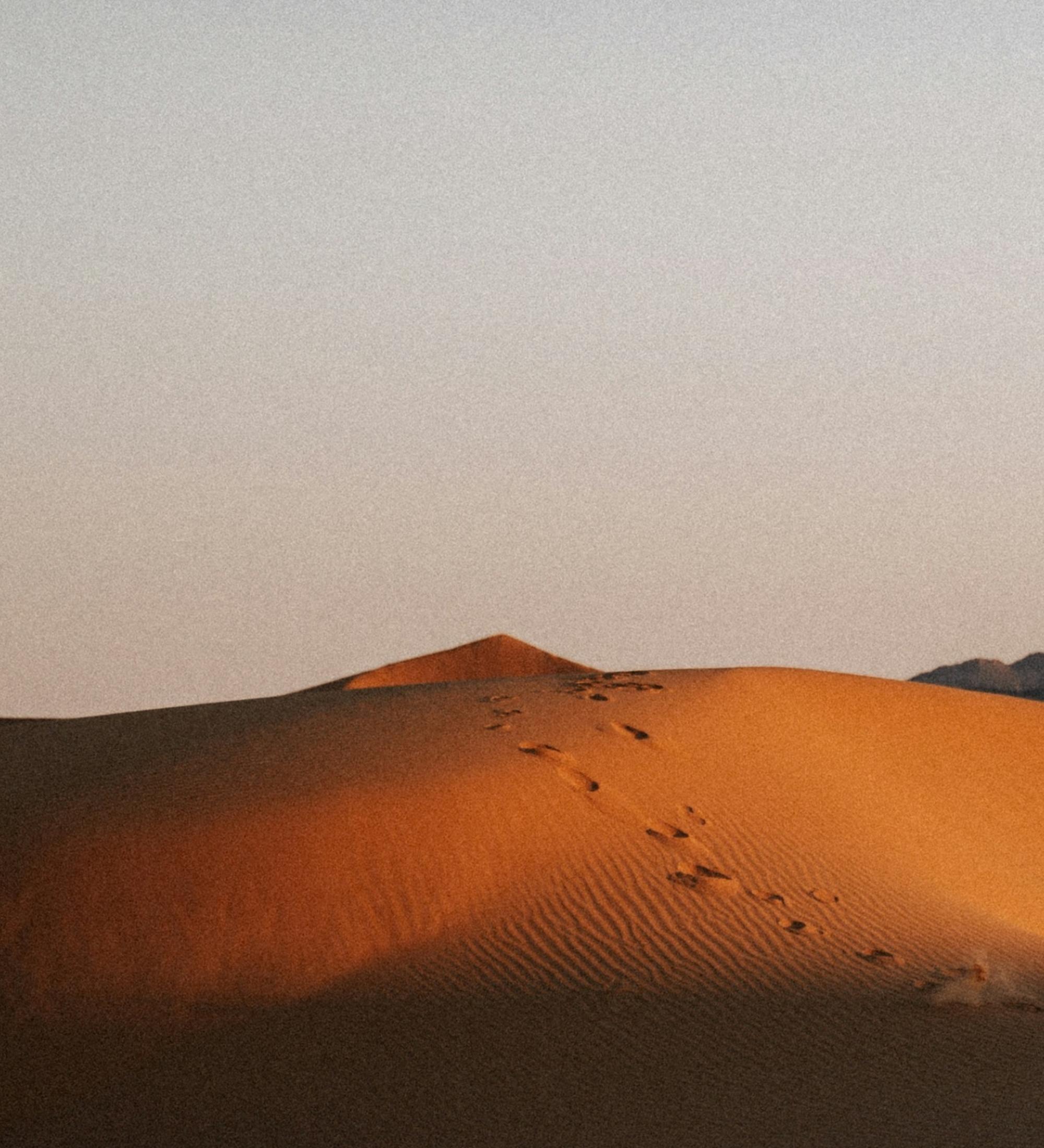 Background for Prophets, Evangelists, Teachers