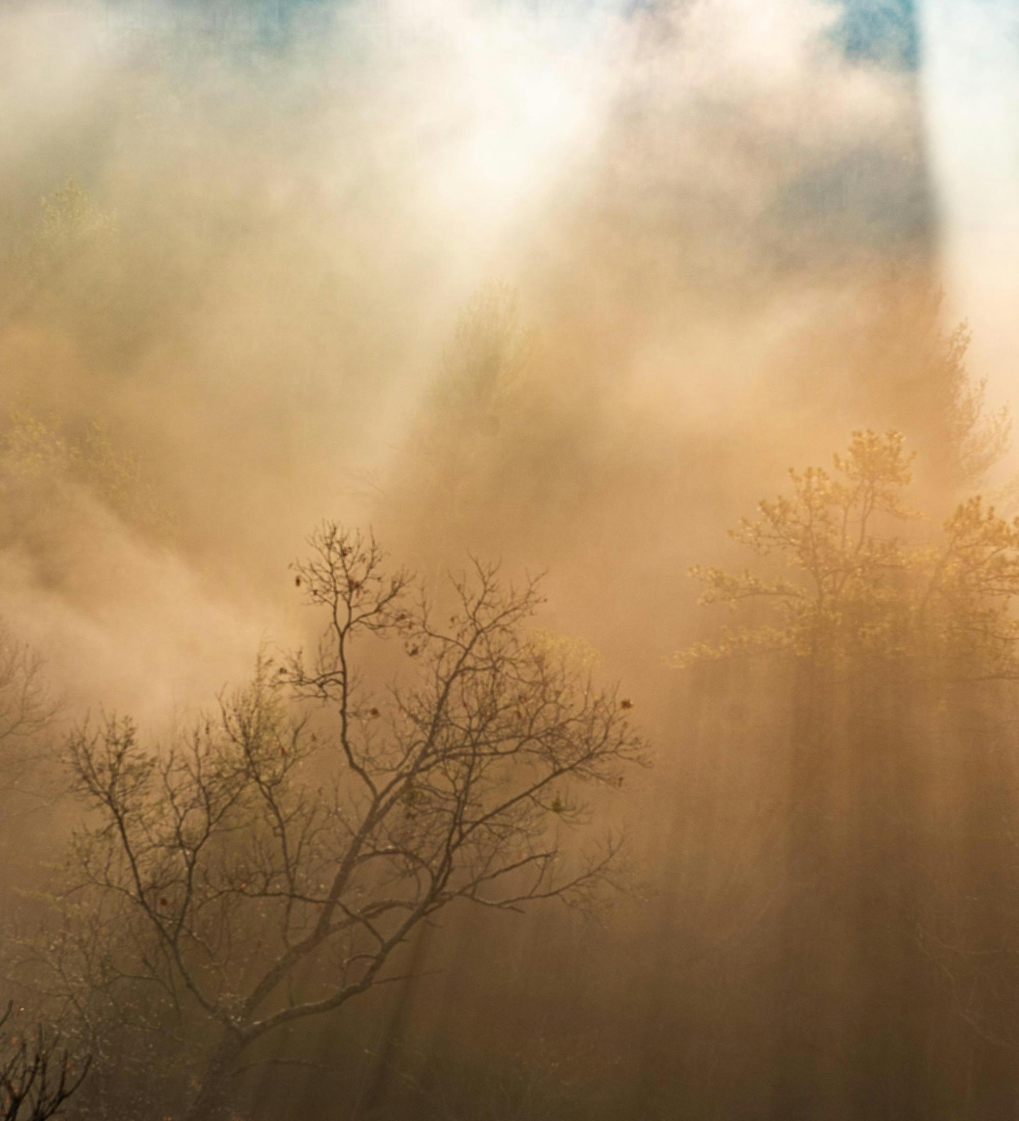 Background for Climax In Four Phases