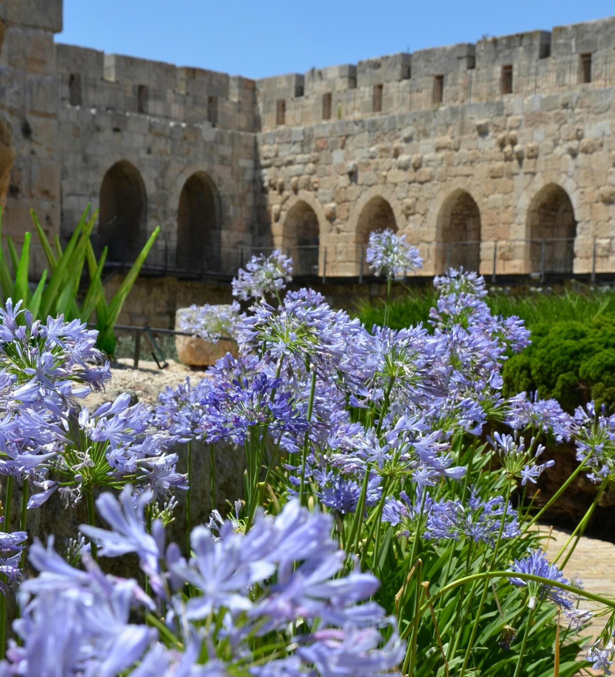 Background for Israel and the Church - Parallel Restoration