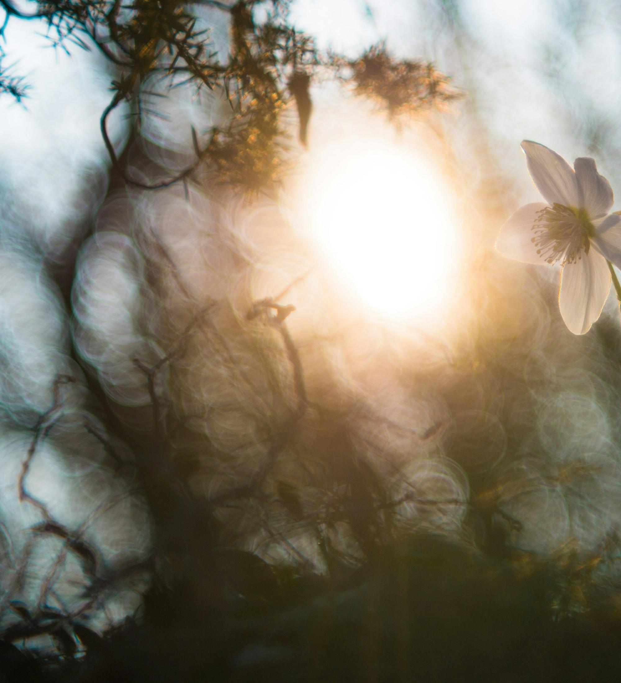 Background for The Nature Of Witchcraft