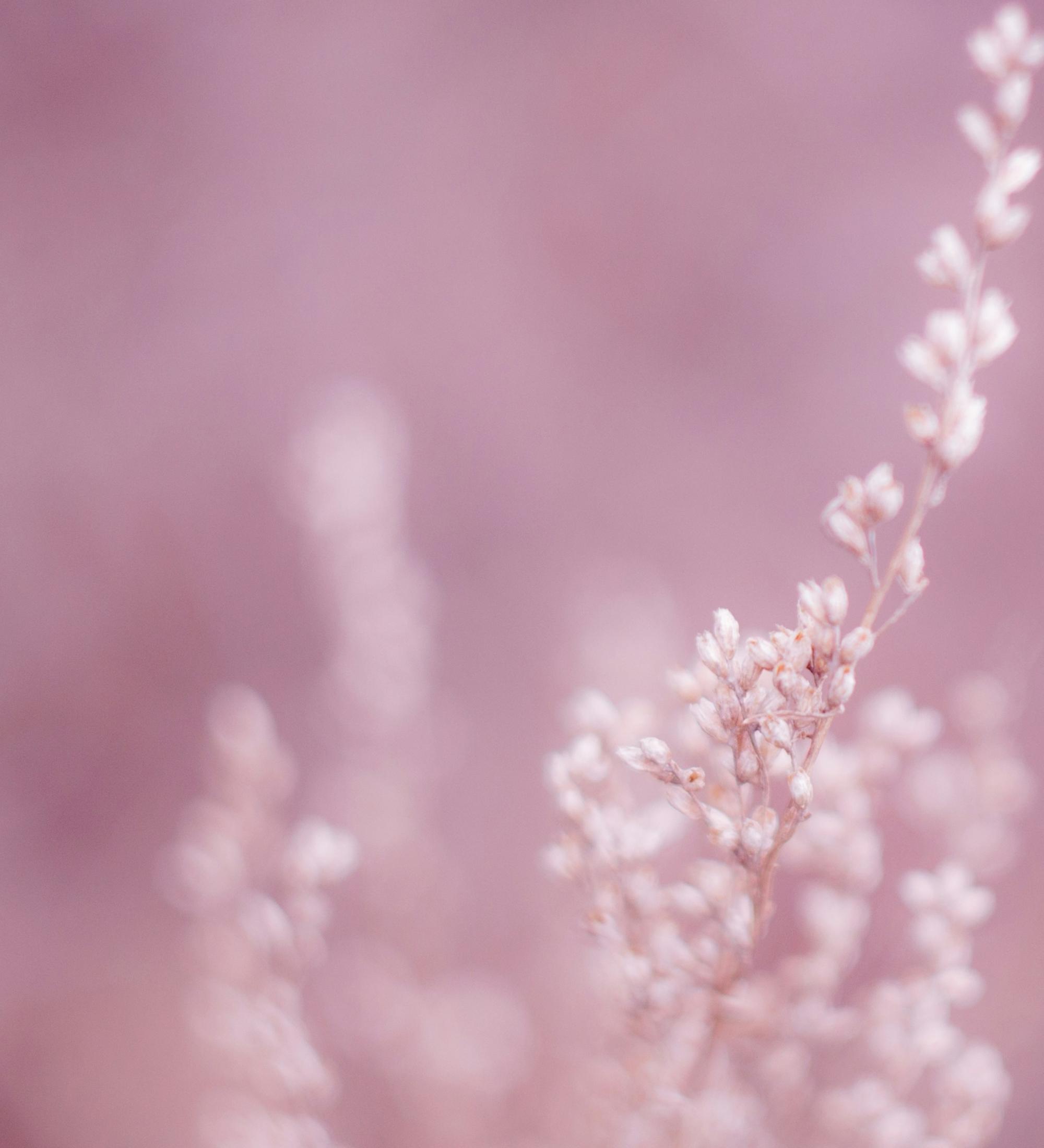 Background for Women In The Church - Question and Answer