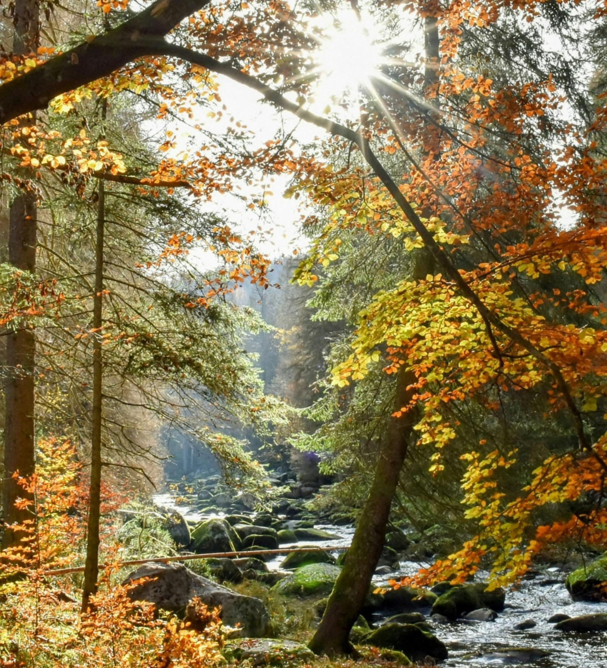 Background for Healing And Health