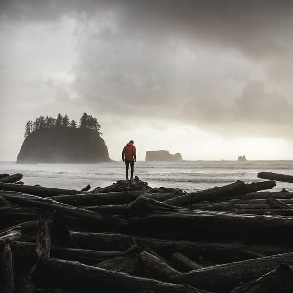 Thumbnail for The Quest for Character