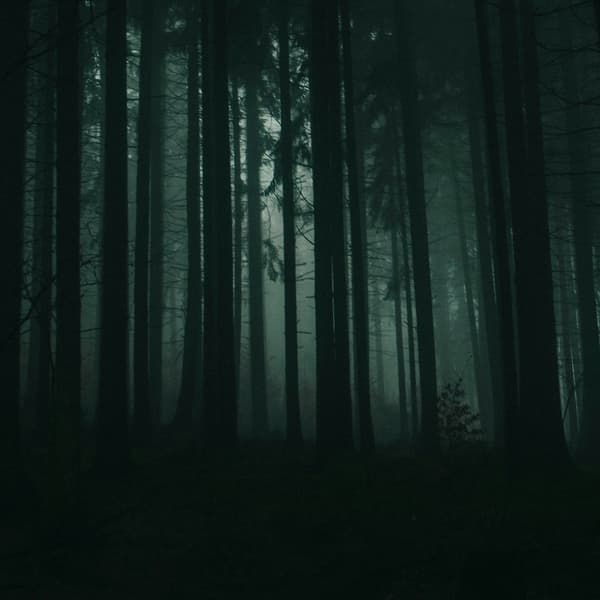 Thumbnail for The Seeking of Control