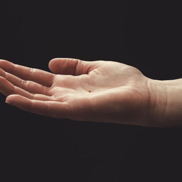 Thumbnail for Faith as a Gift